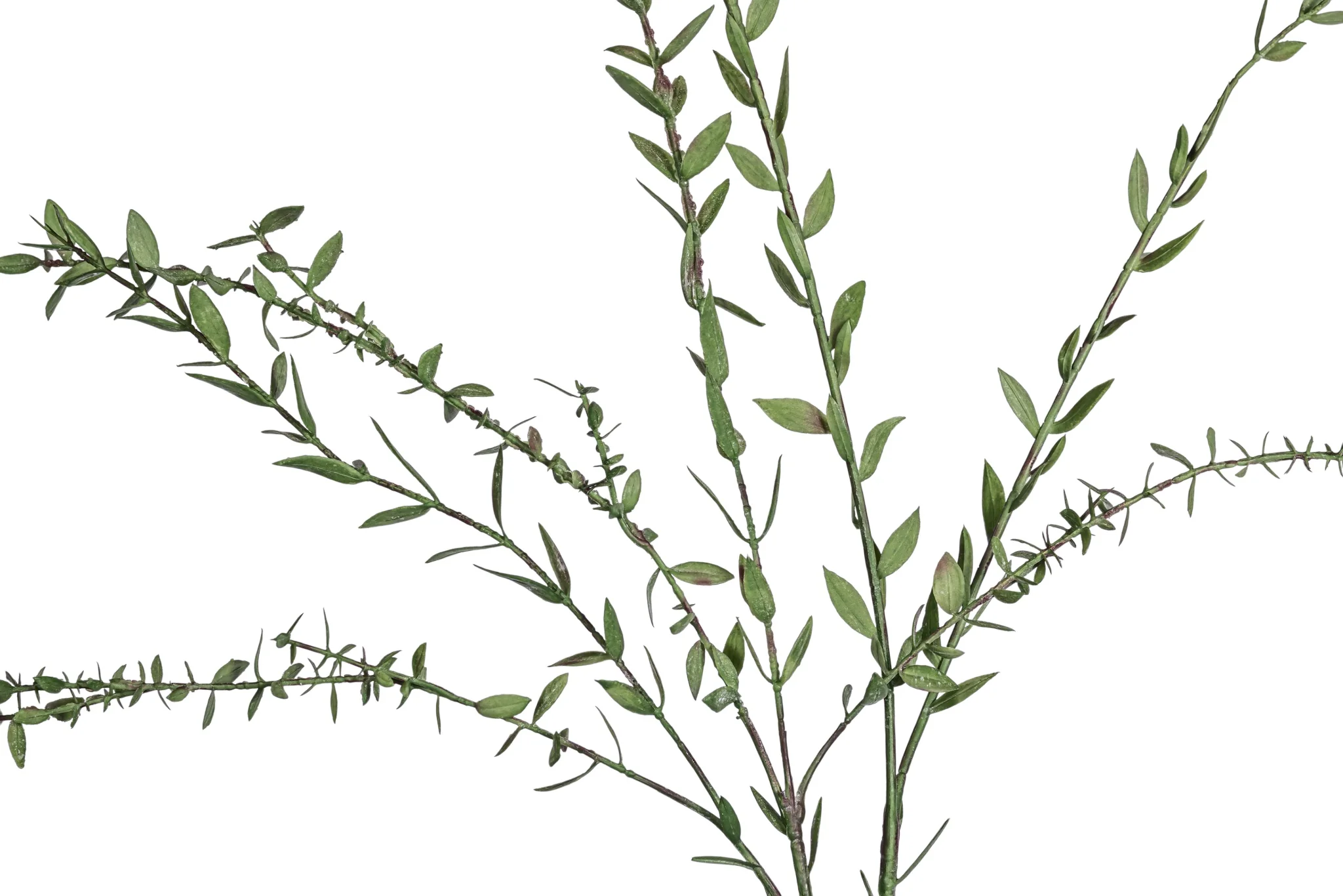 28.5" Eucalyptus Spray Stem   ST1219 - Image 2