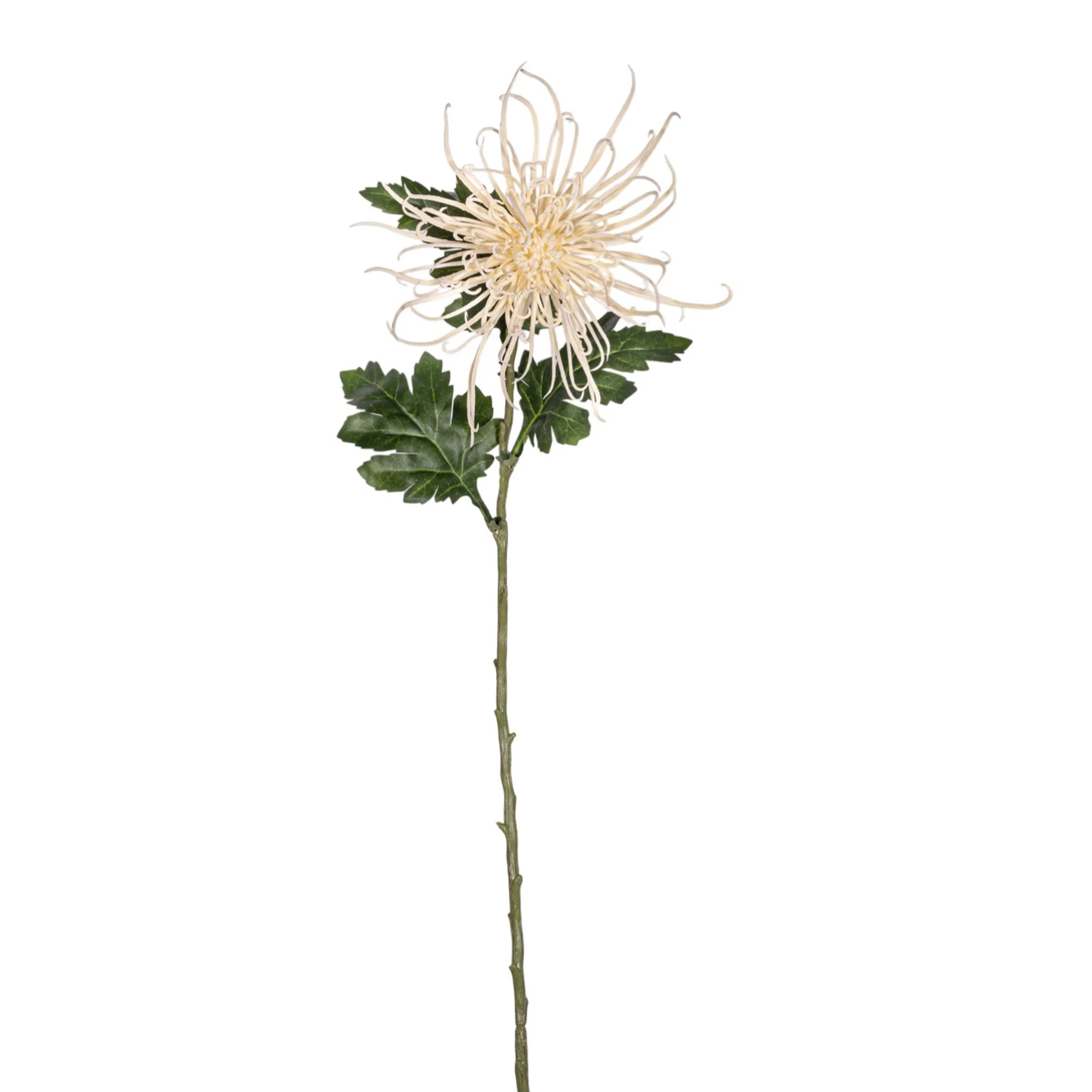 30" Spider Mum Stem - Cream   FL1065 - Image 2