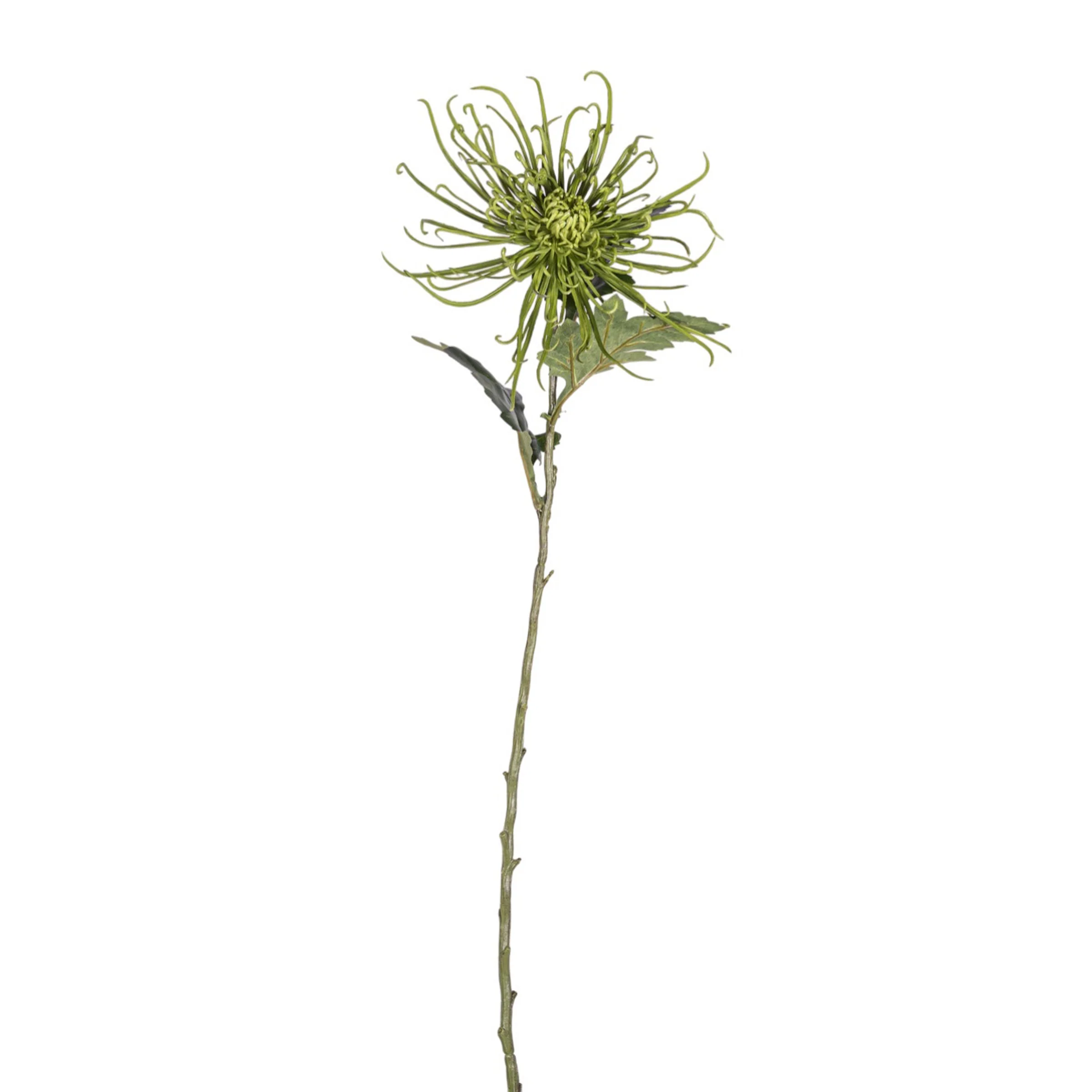 30" Spider Mum Stem - Green   FL1066 - Image 2