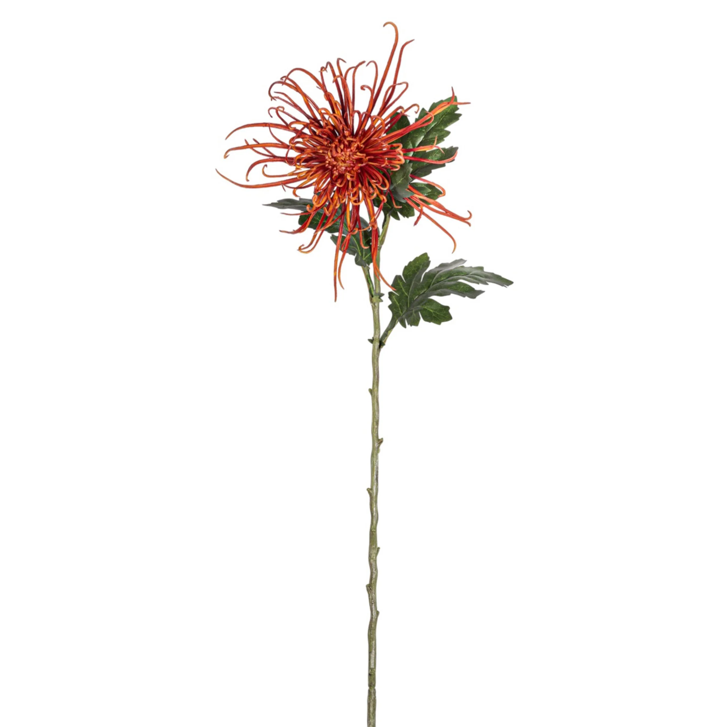 30" Spider Mum Stem - Red   FL1064 - Image 2