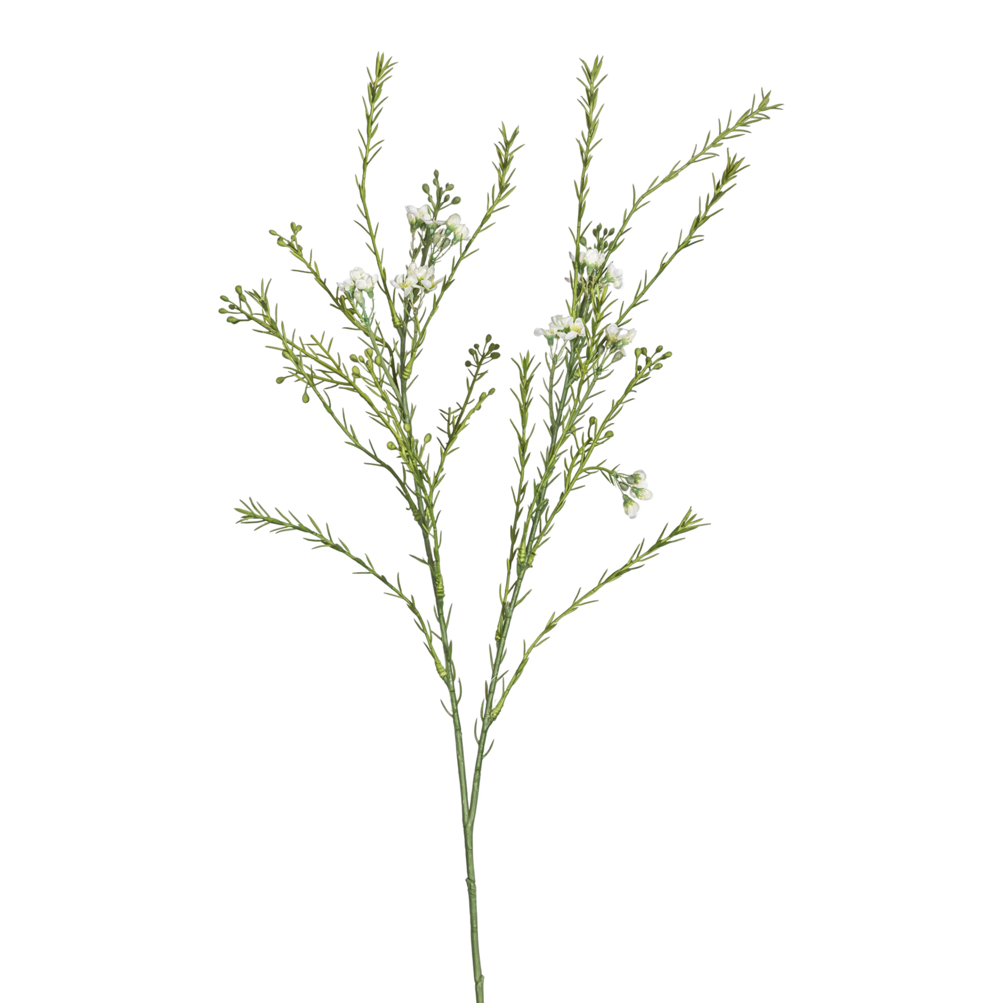 29" Myrtle Stem  ST1203