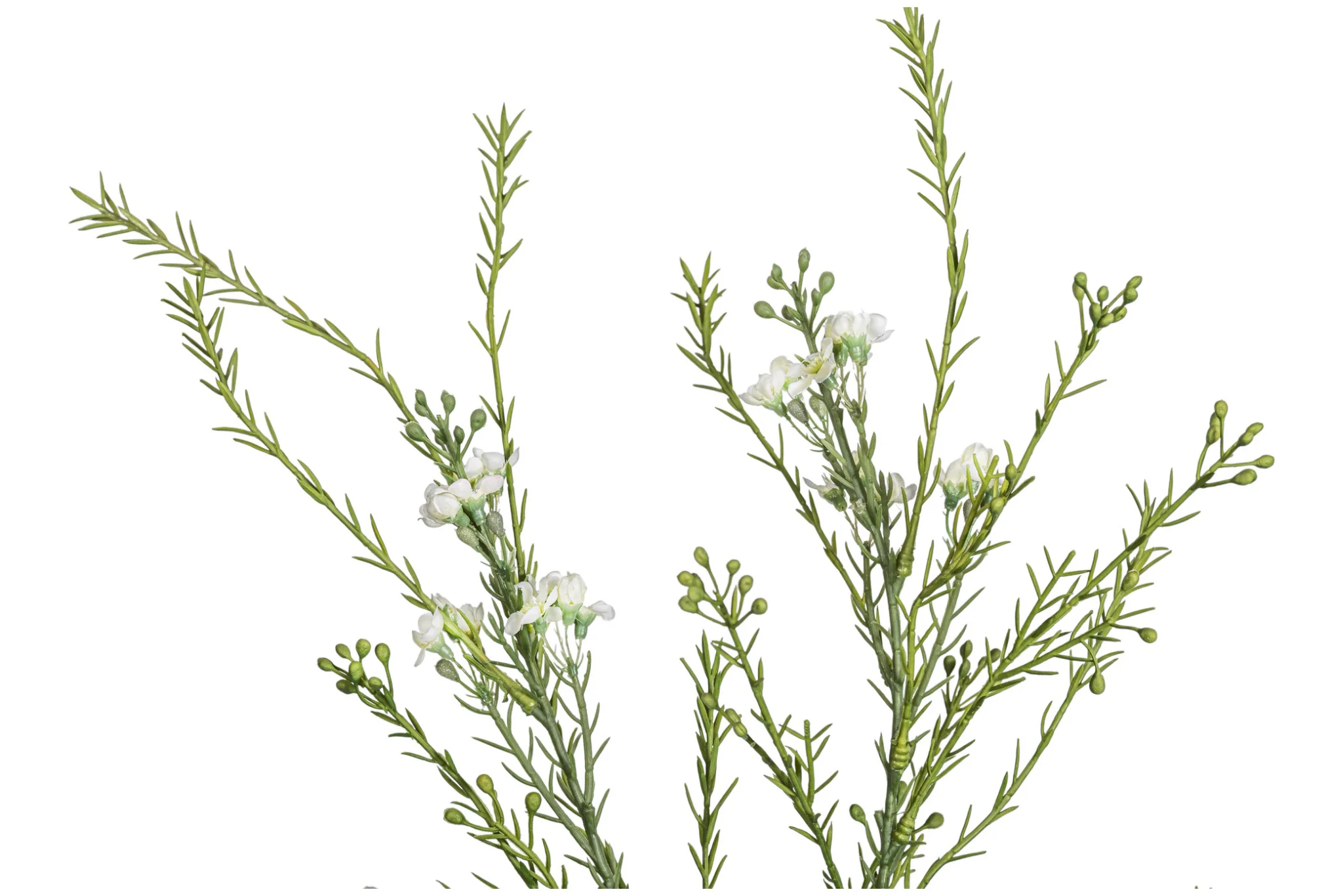 29" Myrtle Stem  ST1203 - Image 2
