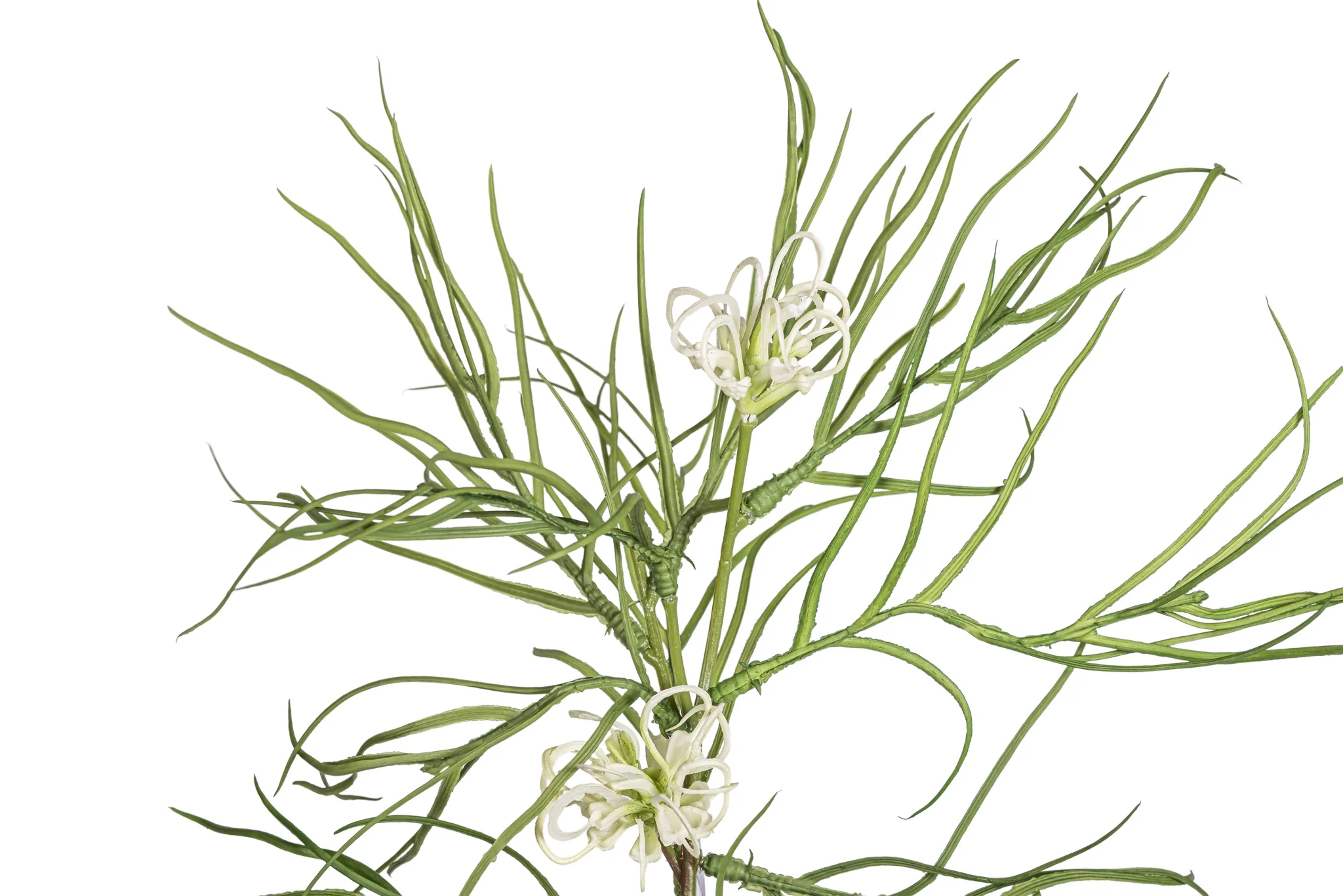 29" Spider Grevillea Stem  ST1205 - Image 2