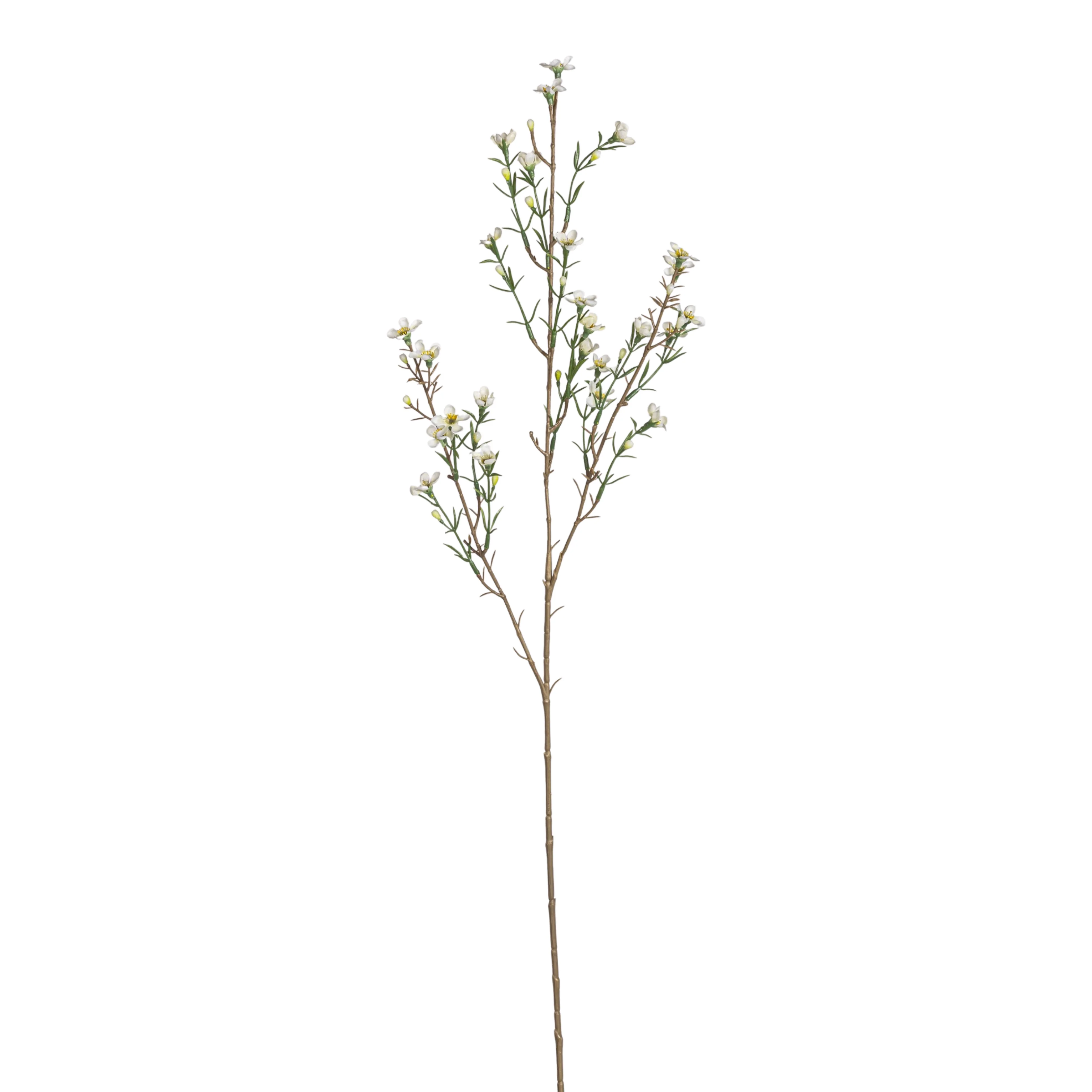 30.5" Wax Flower Stem  FL1091