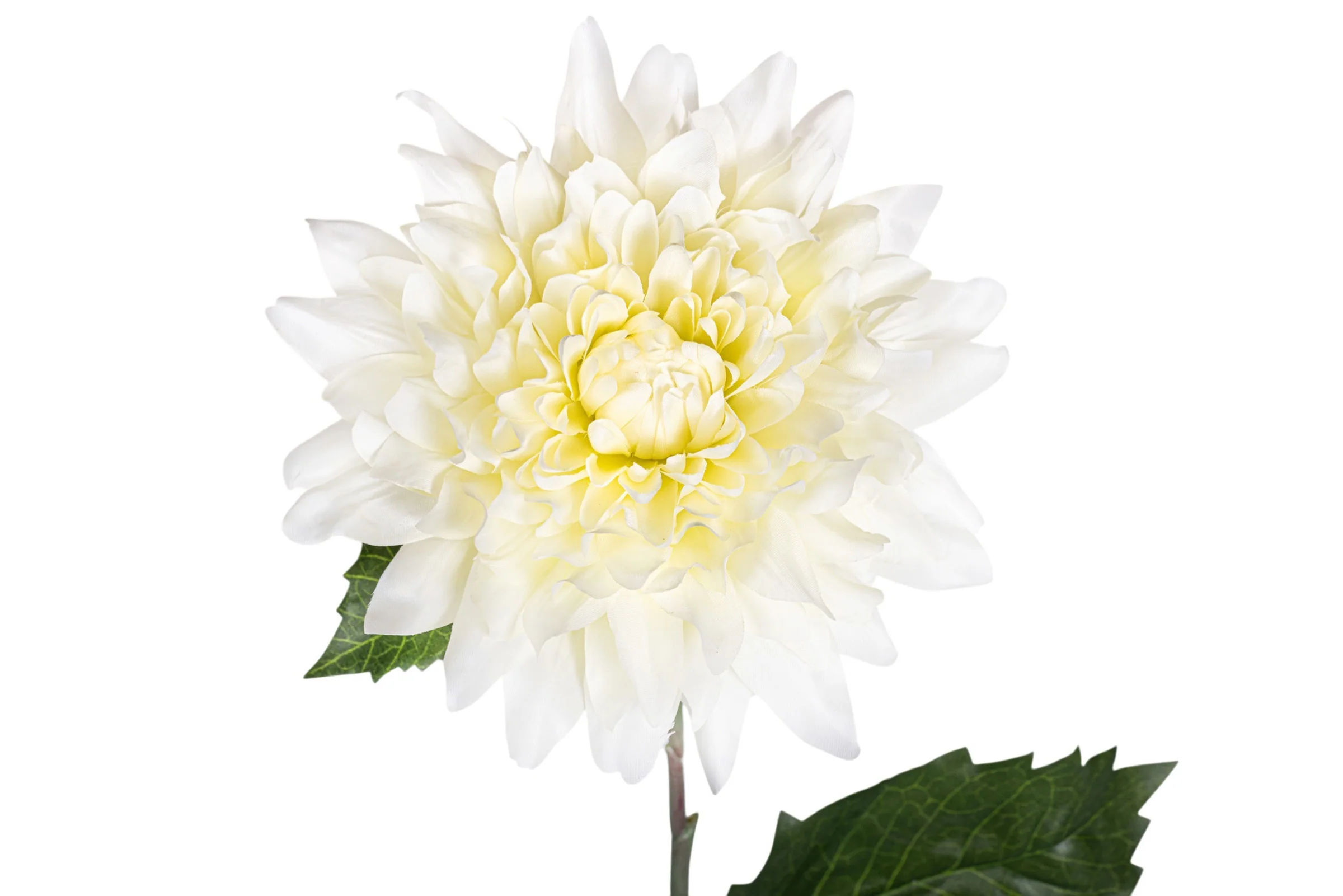 31" Giant Dahlia Stem  FL1069 - Image 2