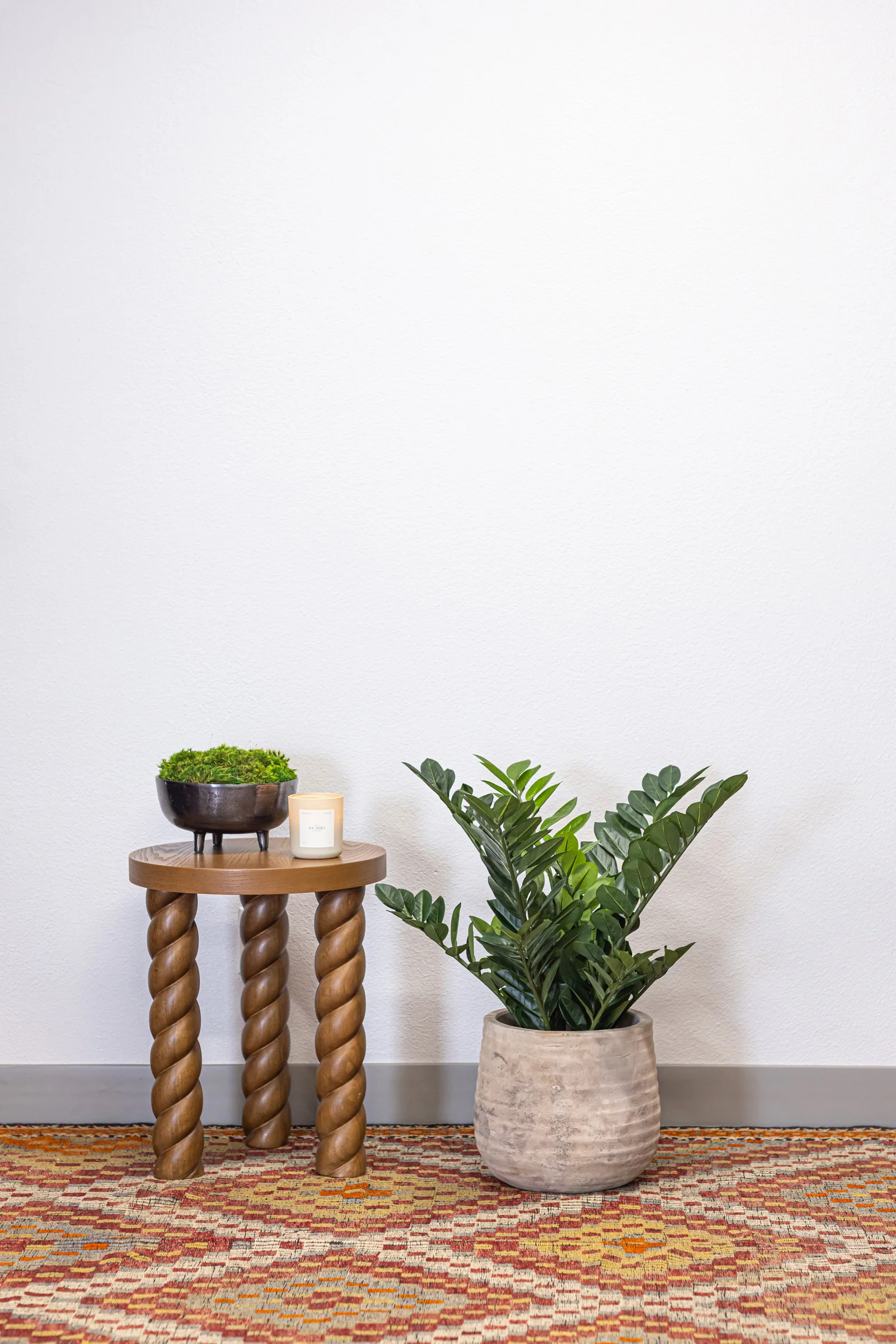 31" ZZ Plant FP1176 - Image 4