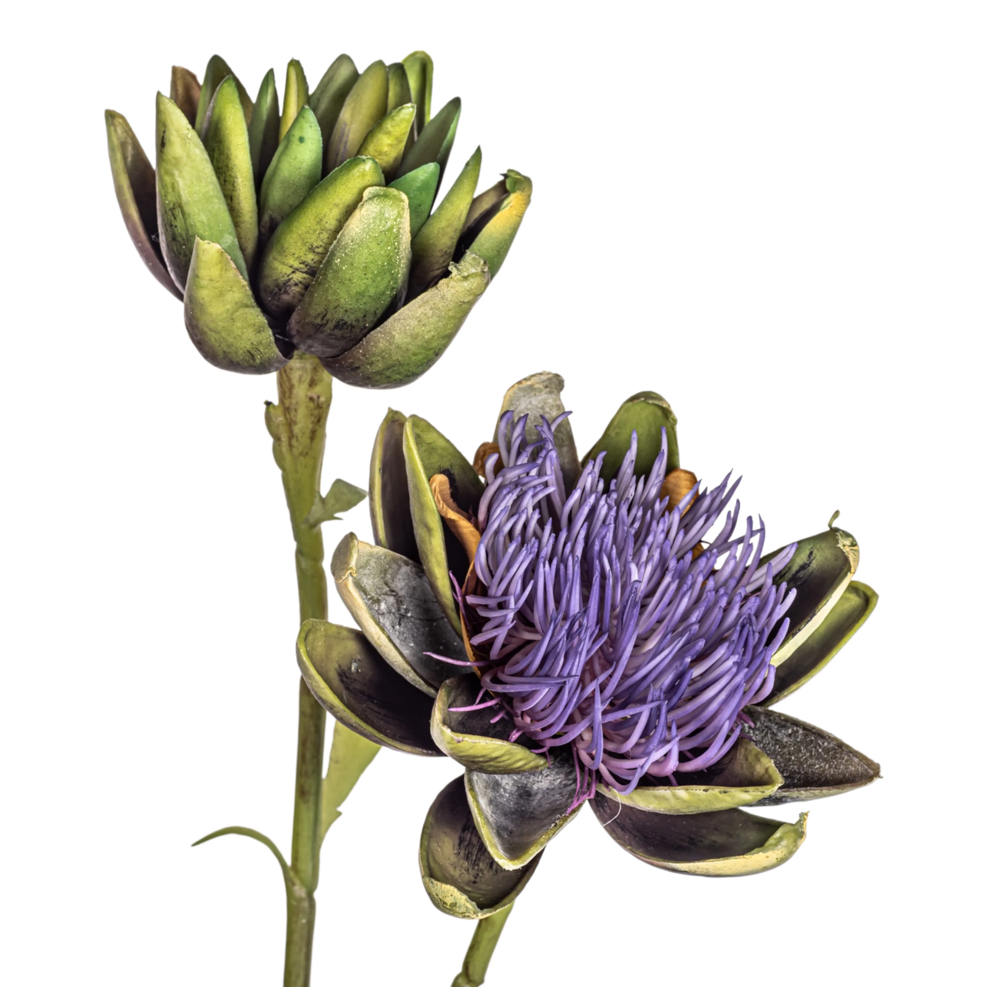 32"  Artichoke Flower Stem   FL1083 - Image 2