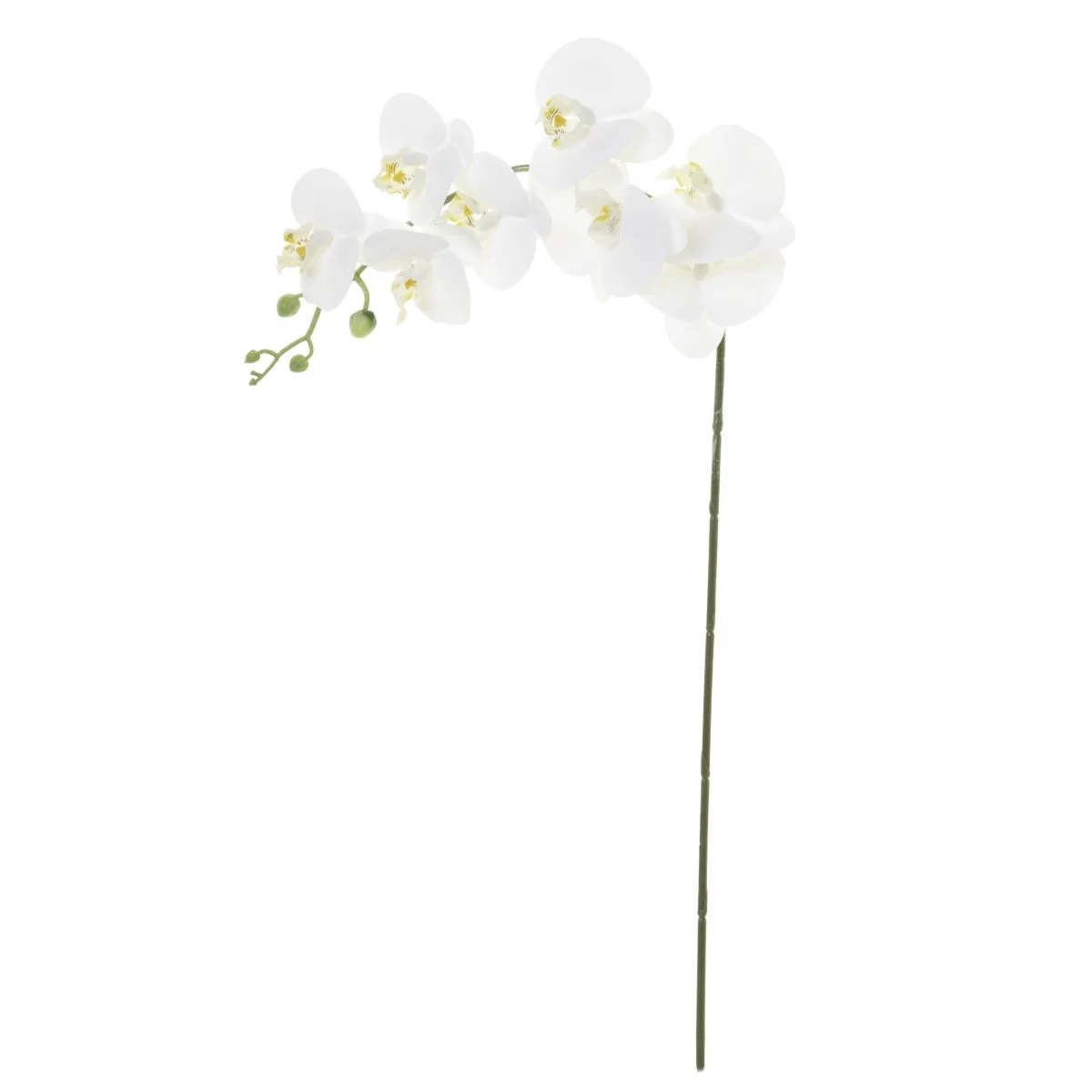 34.5" Real Touch Phalaenopsis Orchid - White FL1020