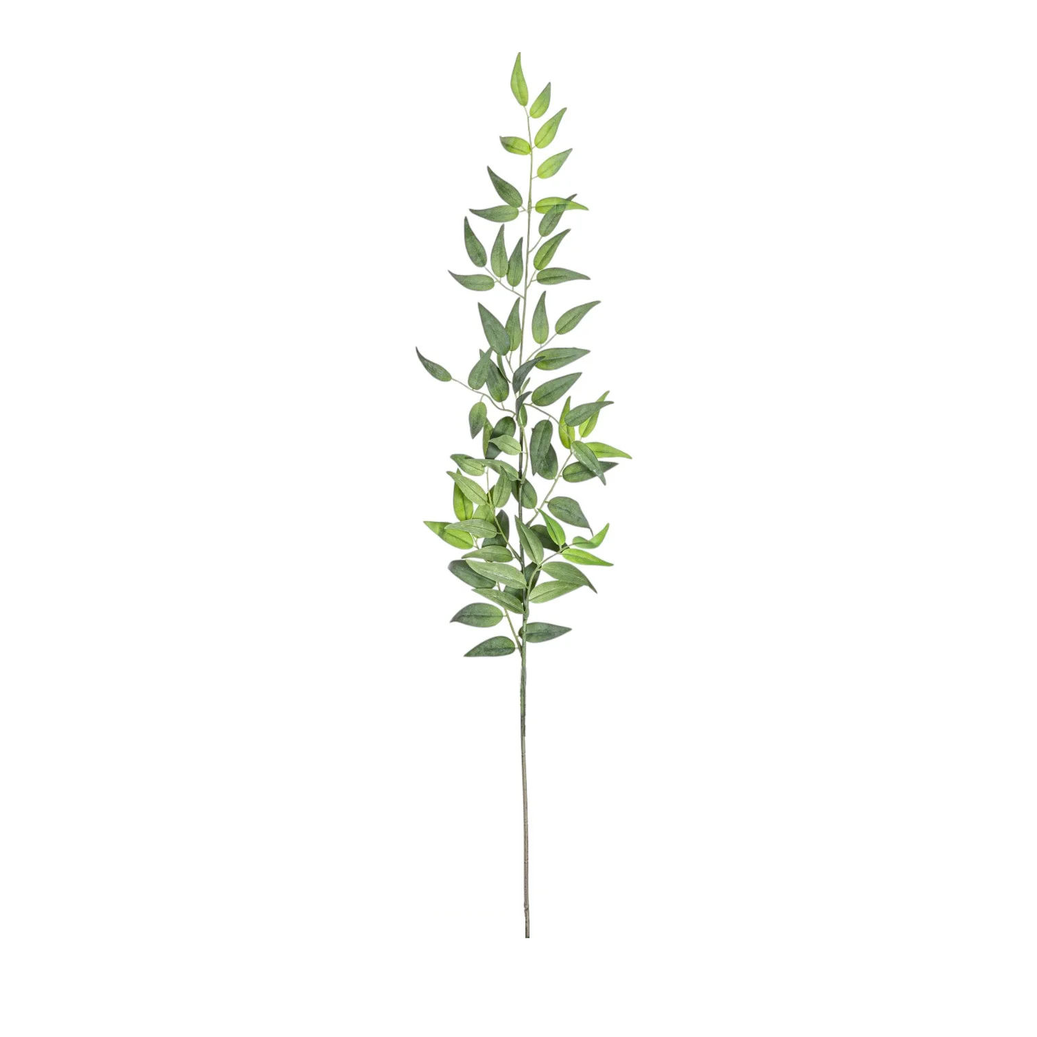 36" Italian Ruscus - UV Treated   ST1197UV - Image 2