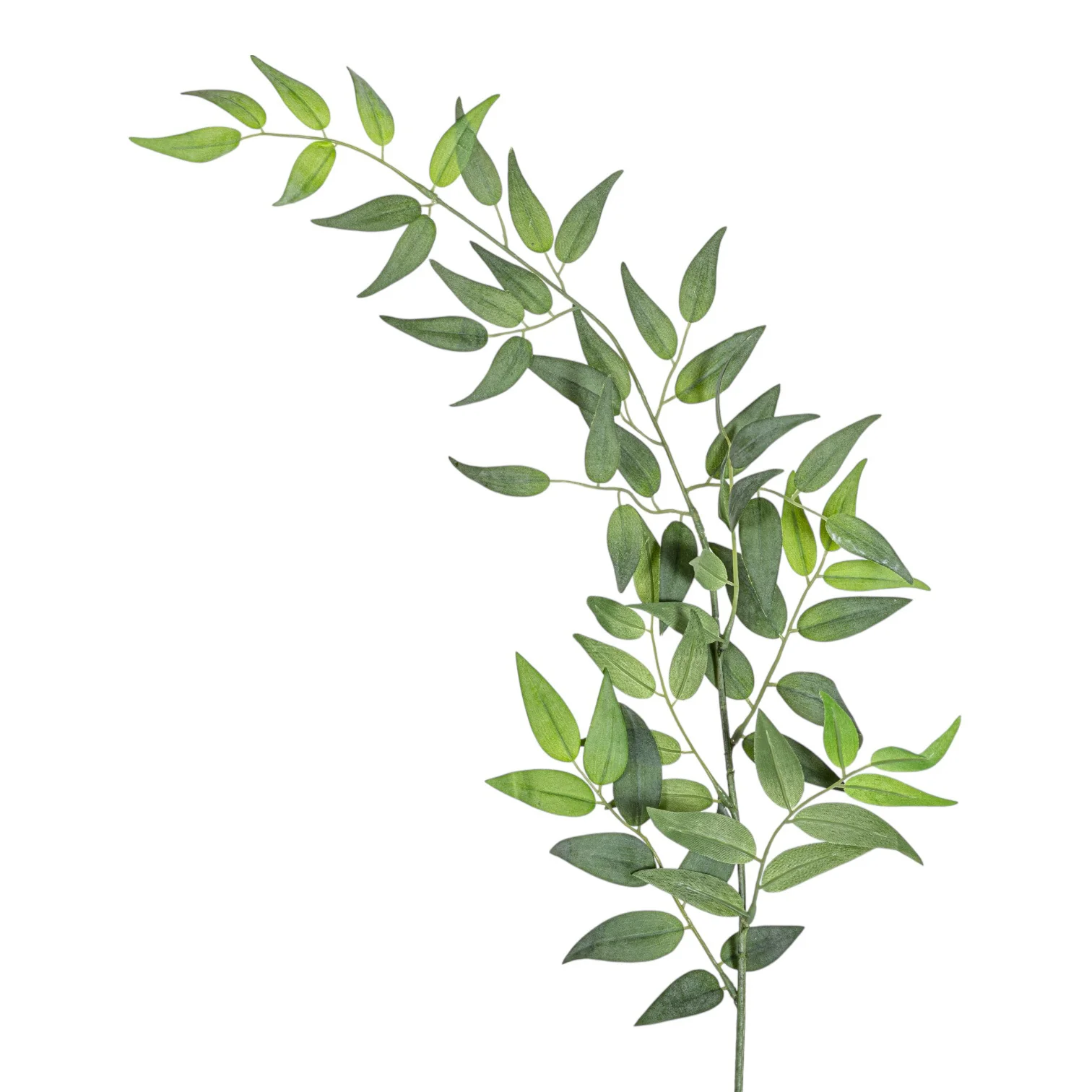 36" Italian Ruscus - UV Treated   ST1197UV - Image 3