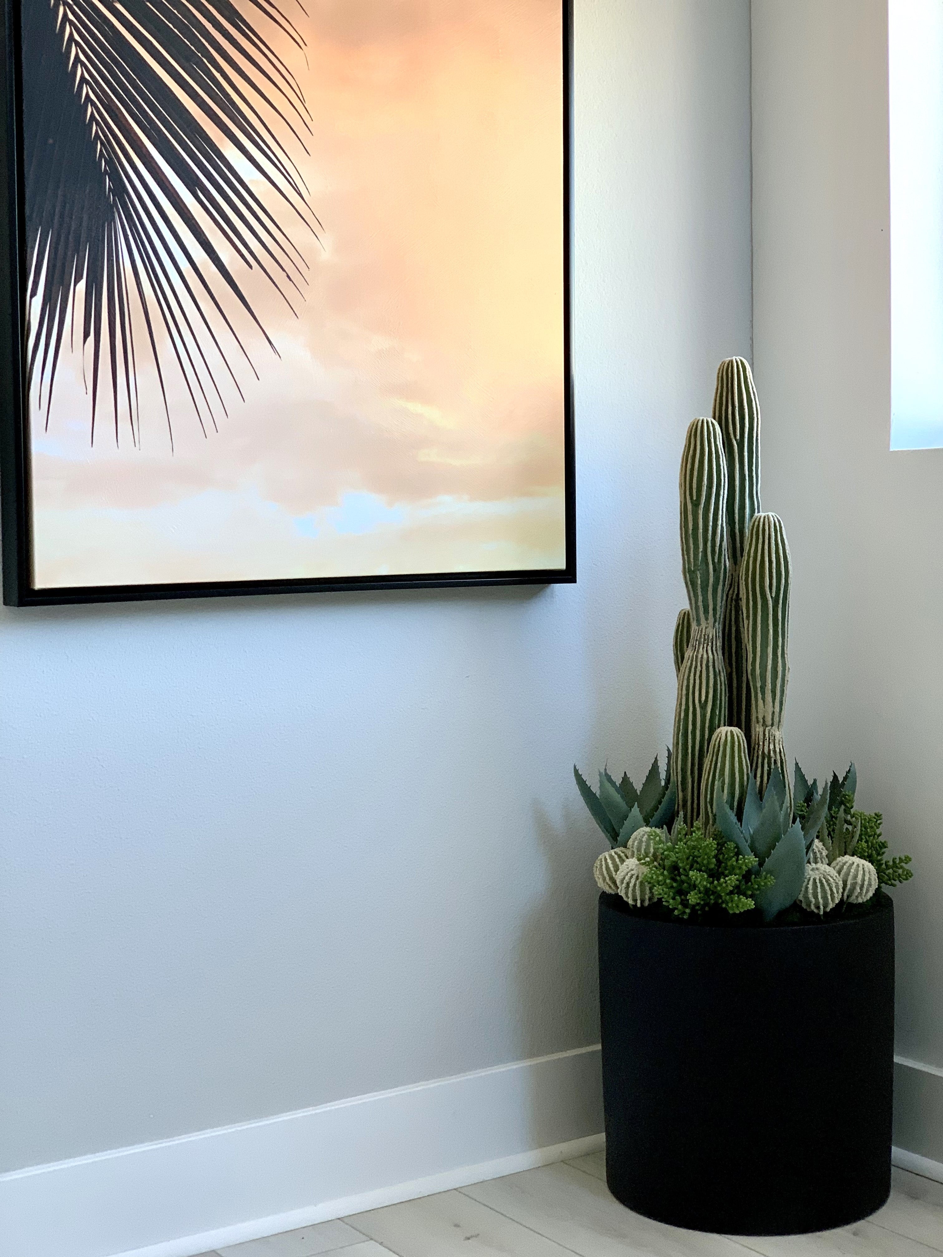 Cereus Cactus Plant - UV Treated - Image 4