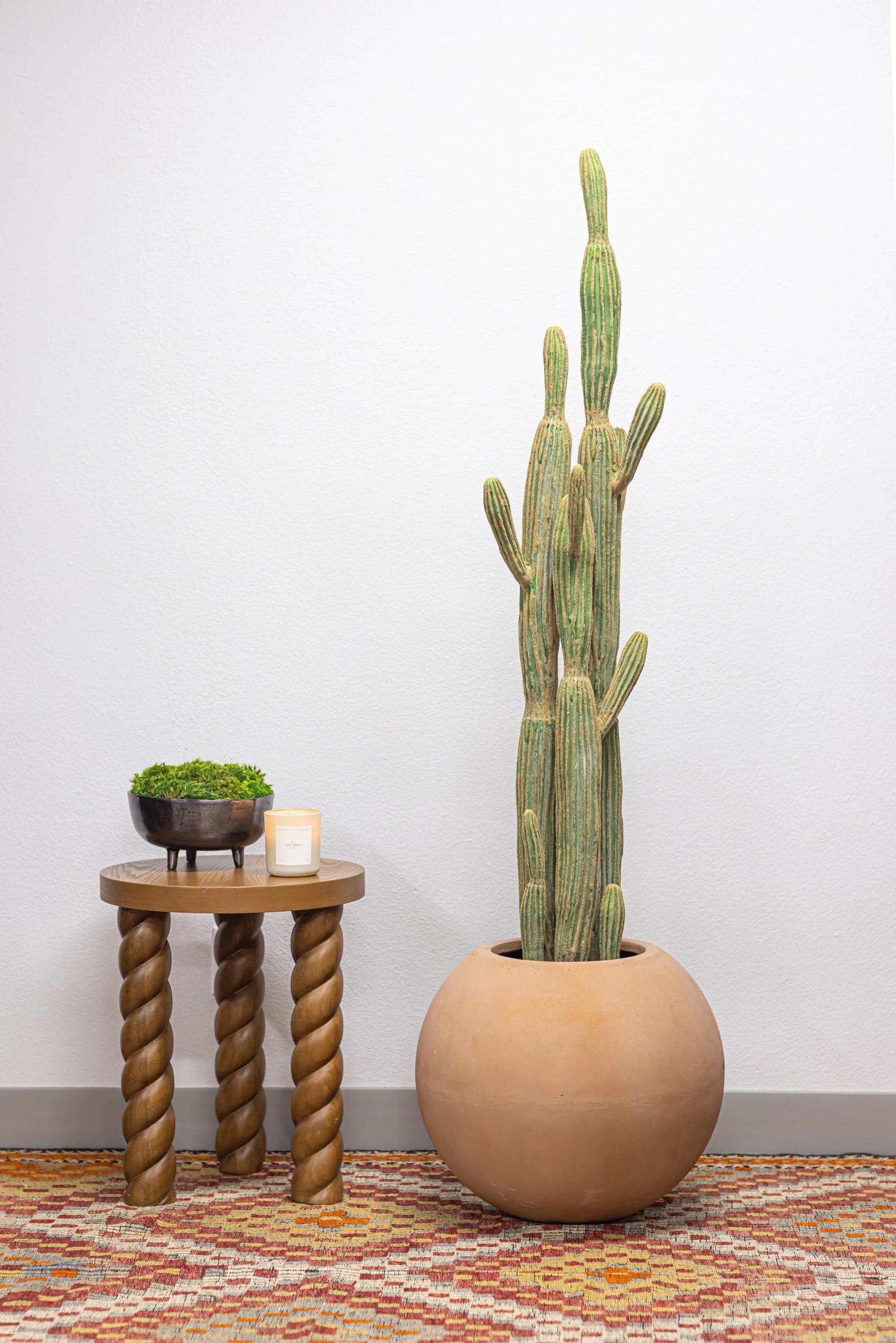 Cereus Cactus Plant - UV Treated - Image 5