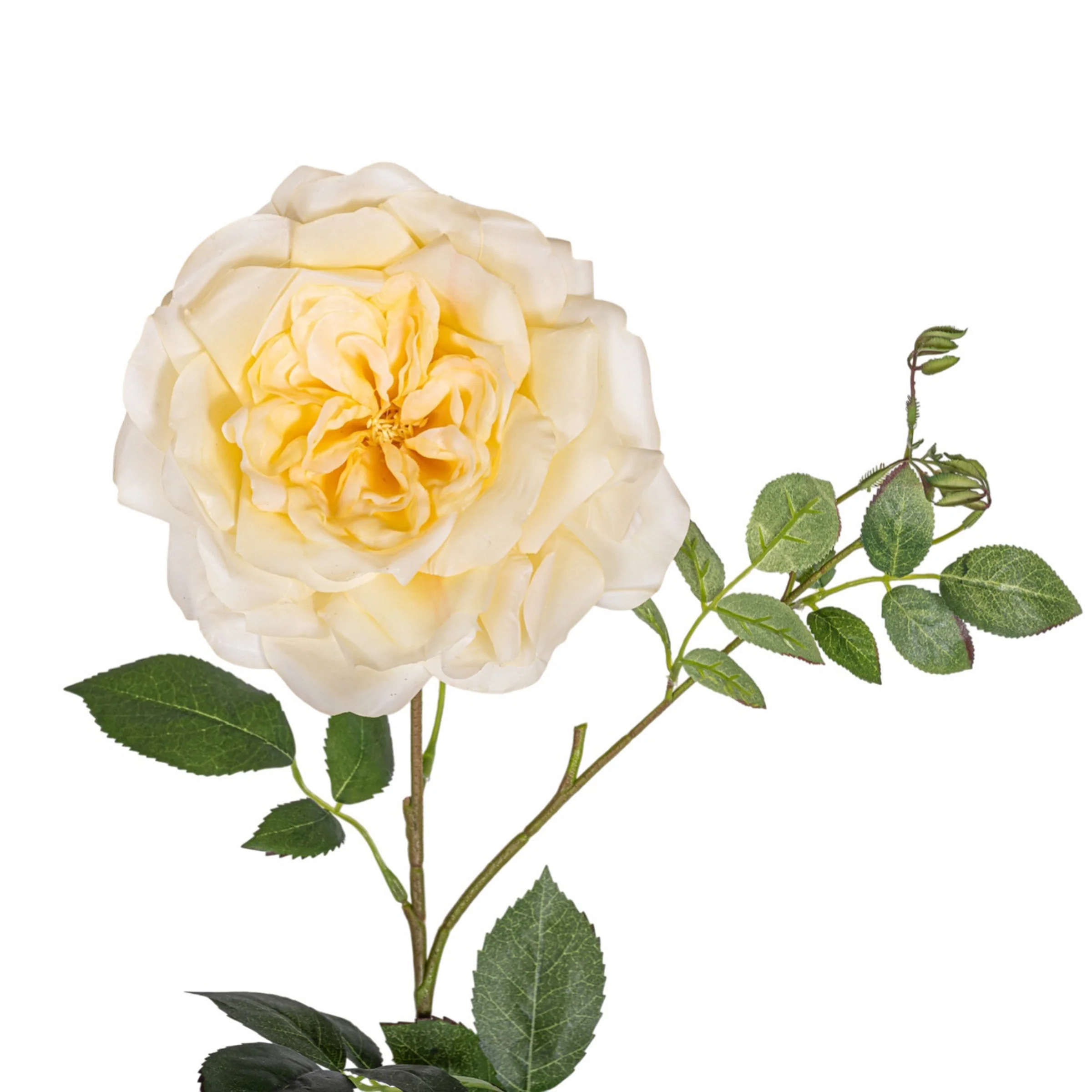 38" Rose Stem  FL1073