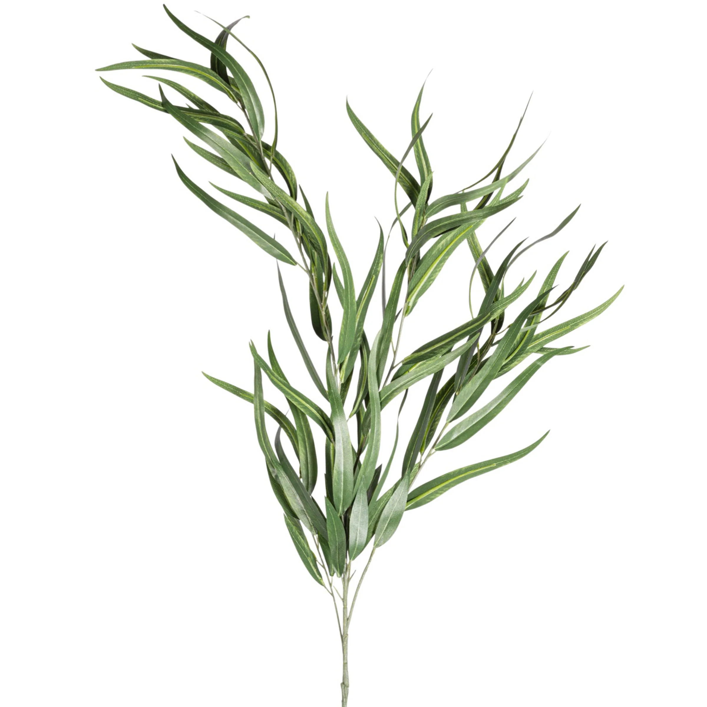 41" Sword Eucalyptus Stem  ST1208