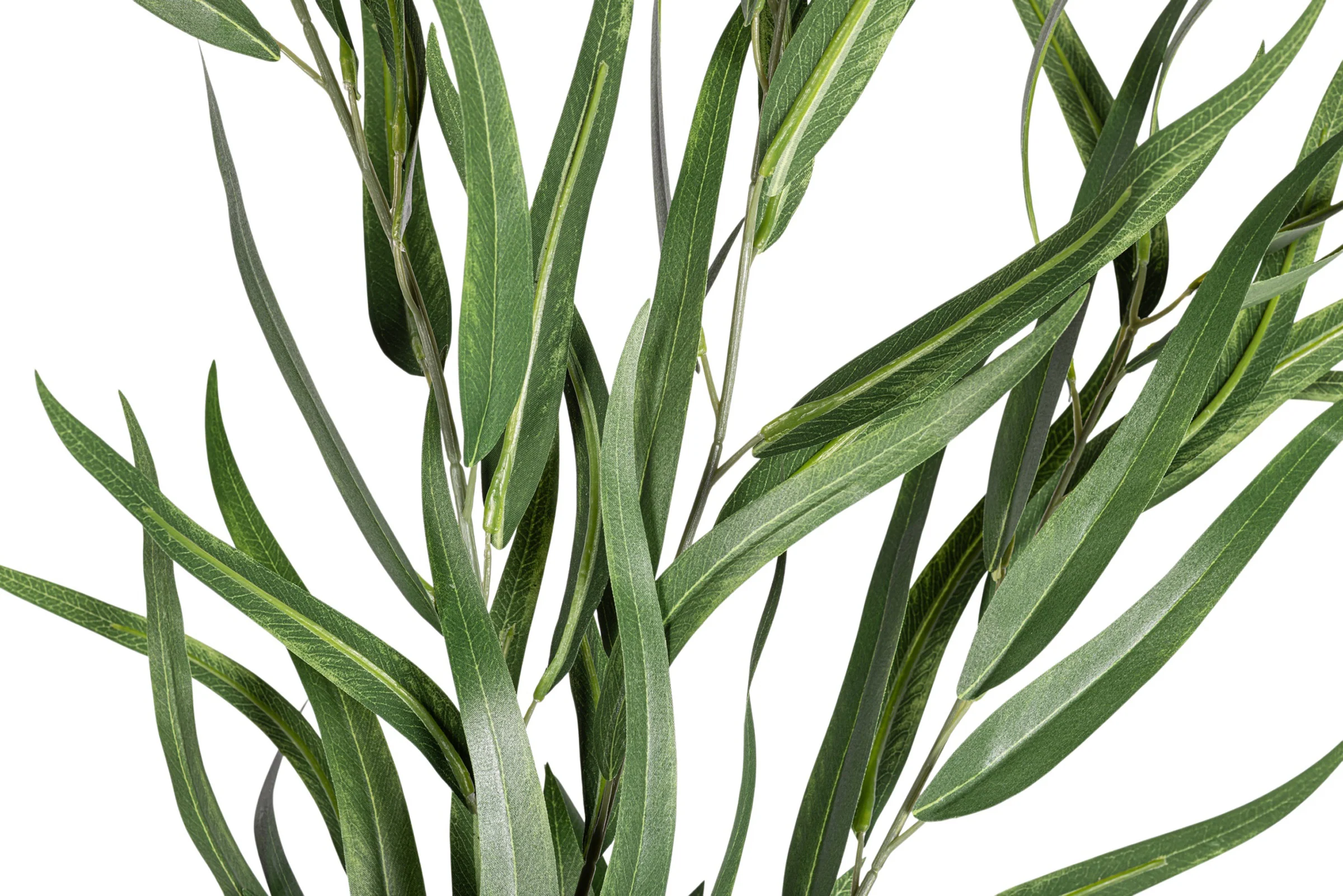 41" Sword Eucalyptus Stem  ST1208 - Image 2