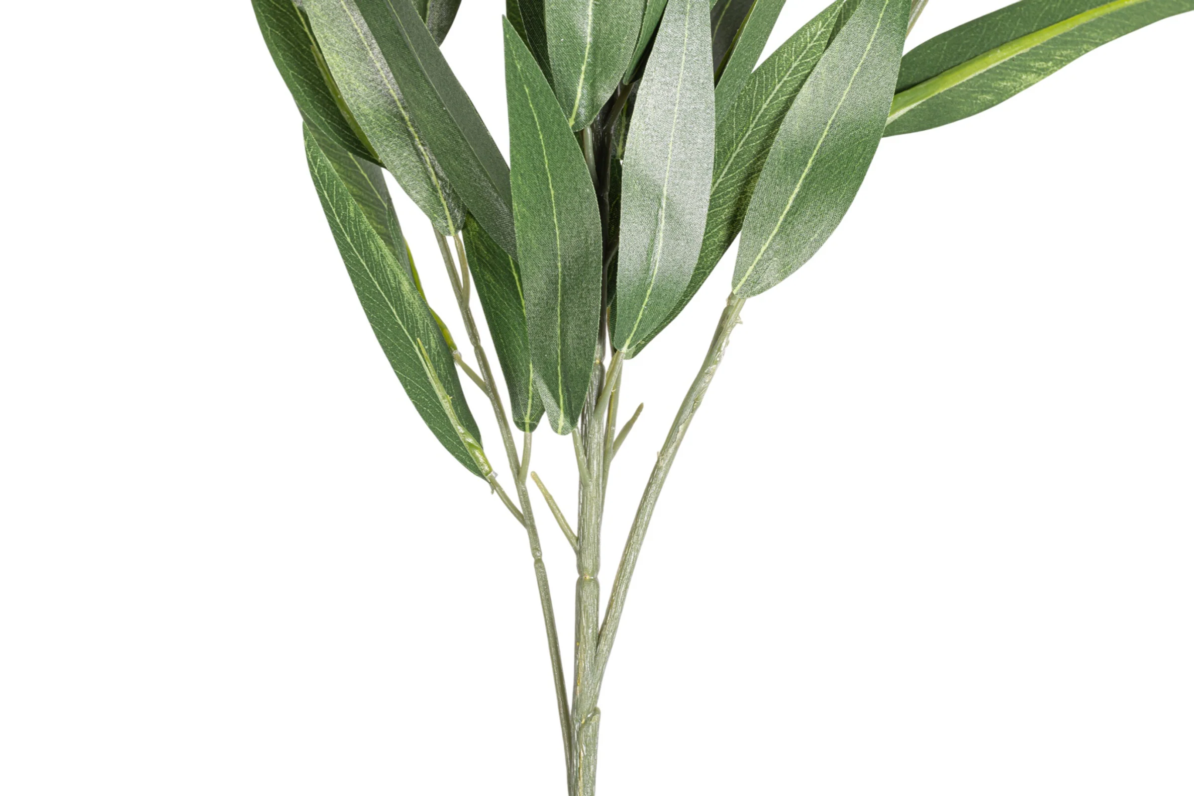 41" Sword Eucalyptus Stem  ST1208 - Image 3