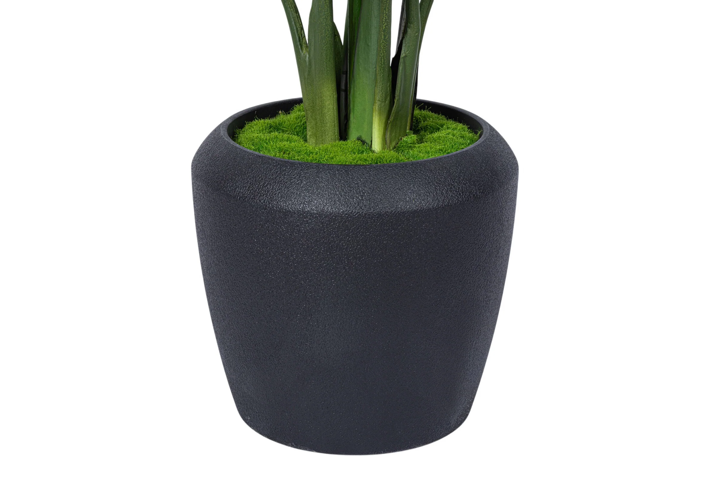 4' Bird of Paradise in Tapered Pot with Green Moss FP1417 - Image 4