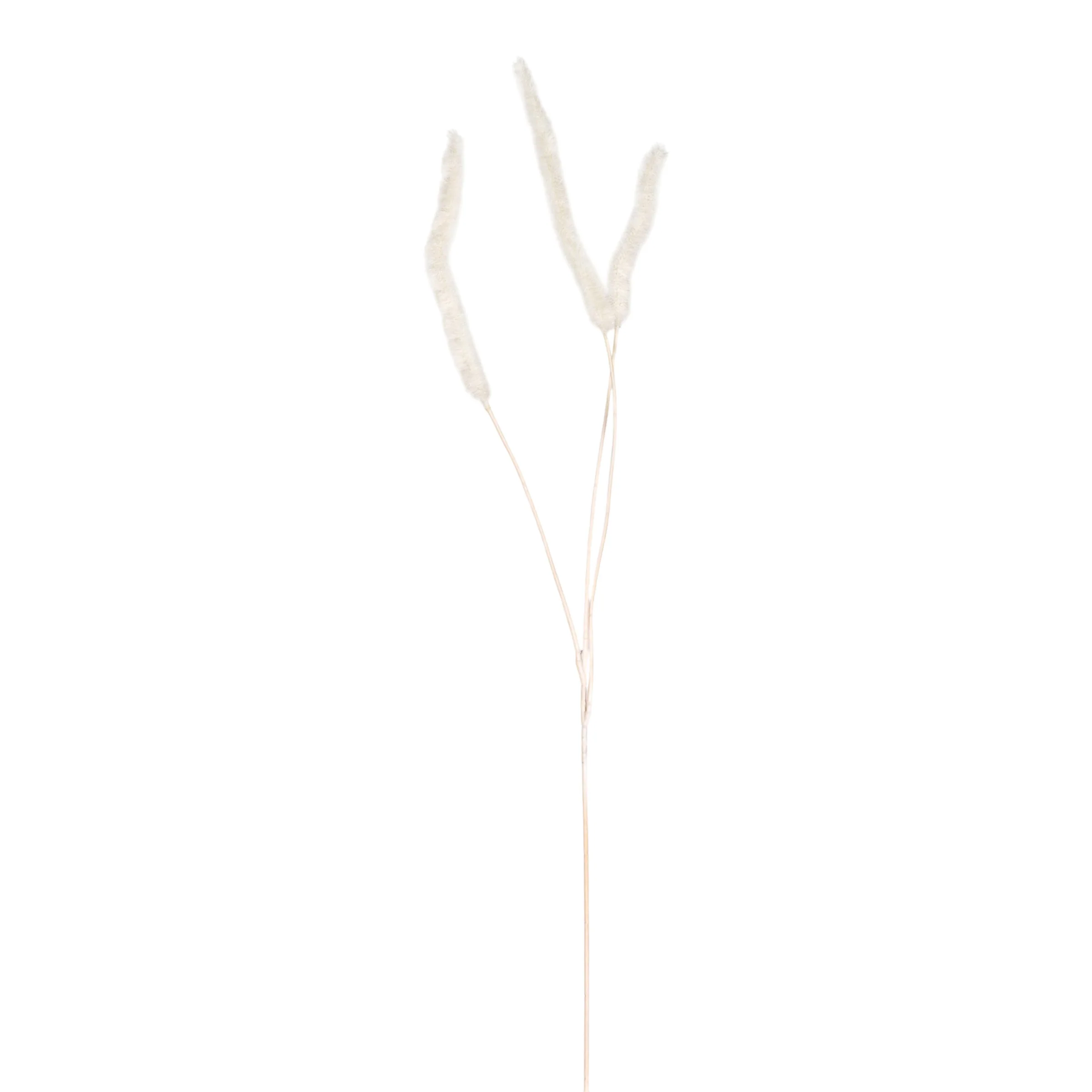 40" Foxtail Grass - White ST1224