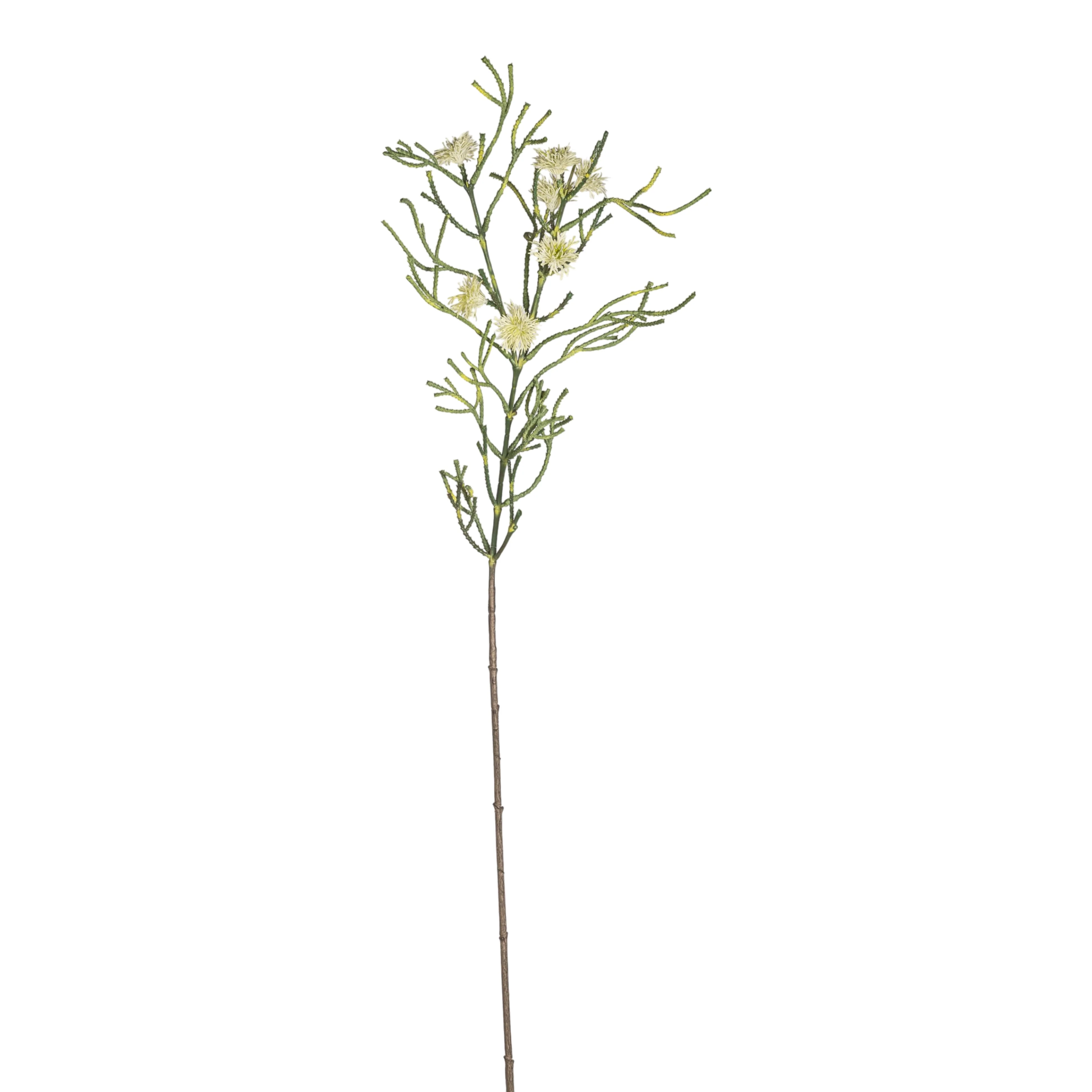 40" Spider Flower Stem  FL1086
