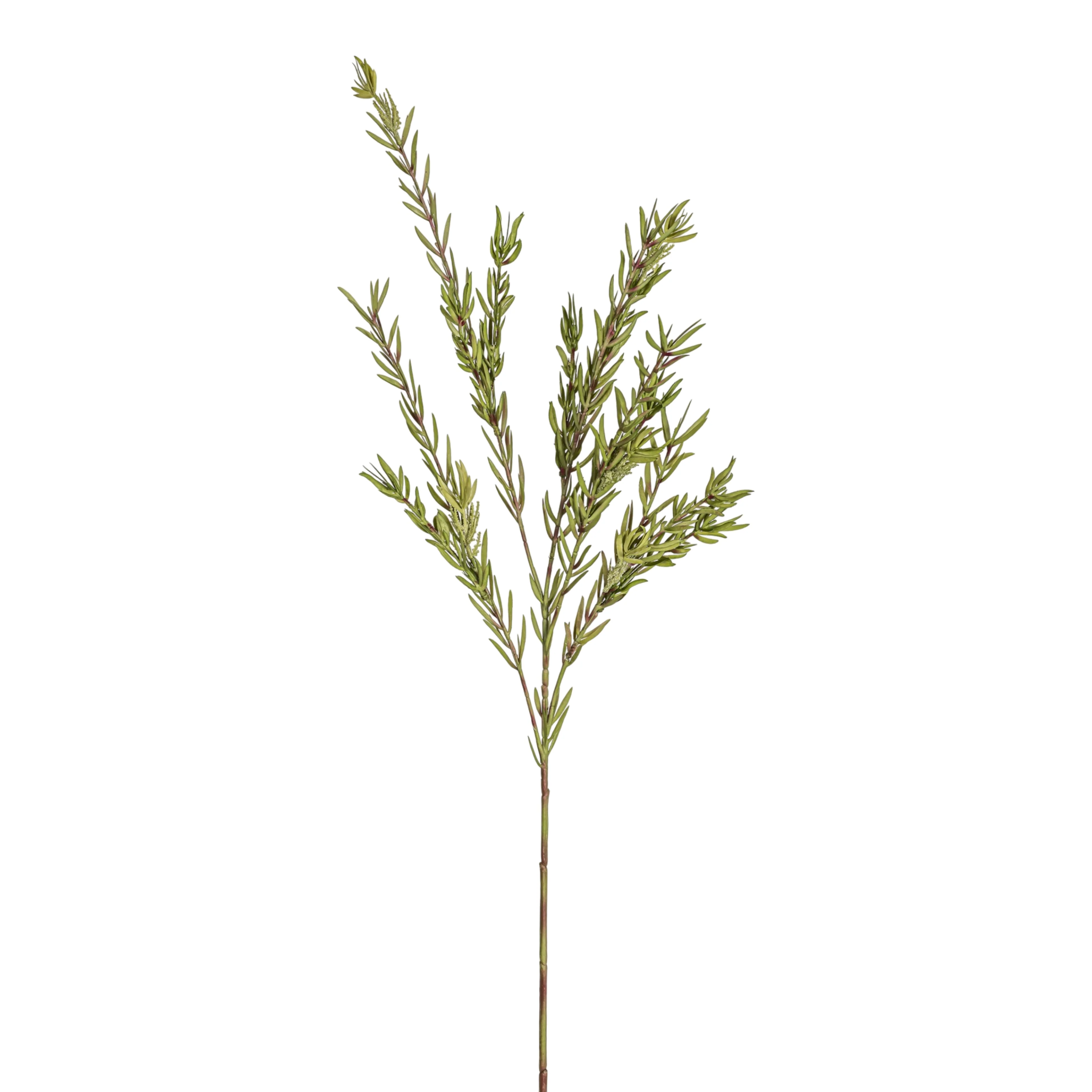 43" Bottle Brush Stem   ST1216