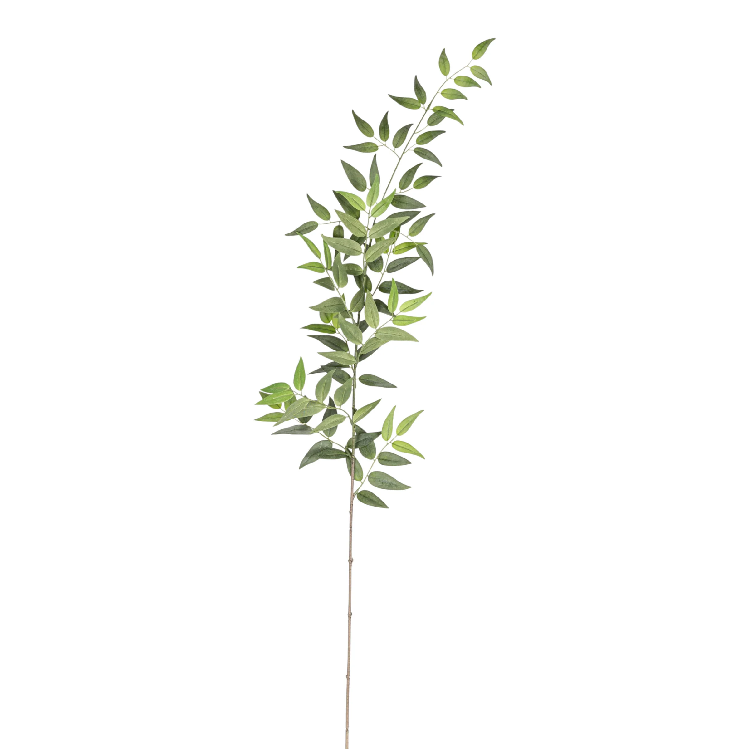 44" Italian Ruscus Stem - UV Treated   ST1196UV