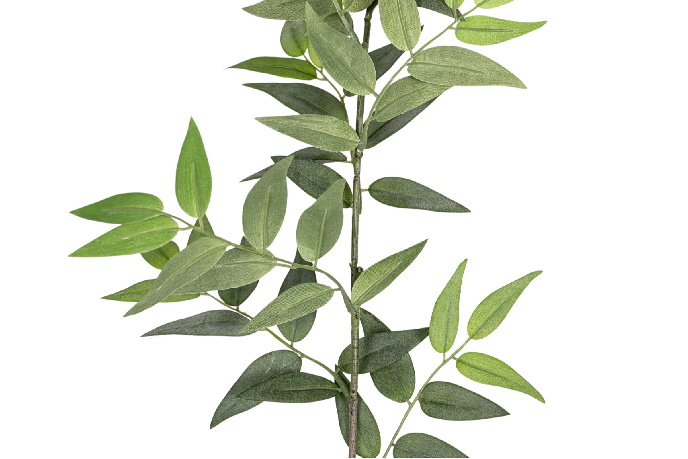 44" Italian Ruscus Stem - UV Treated   ST1196UV - Image 2