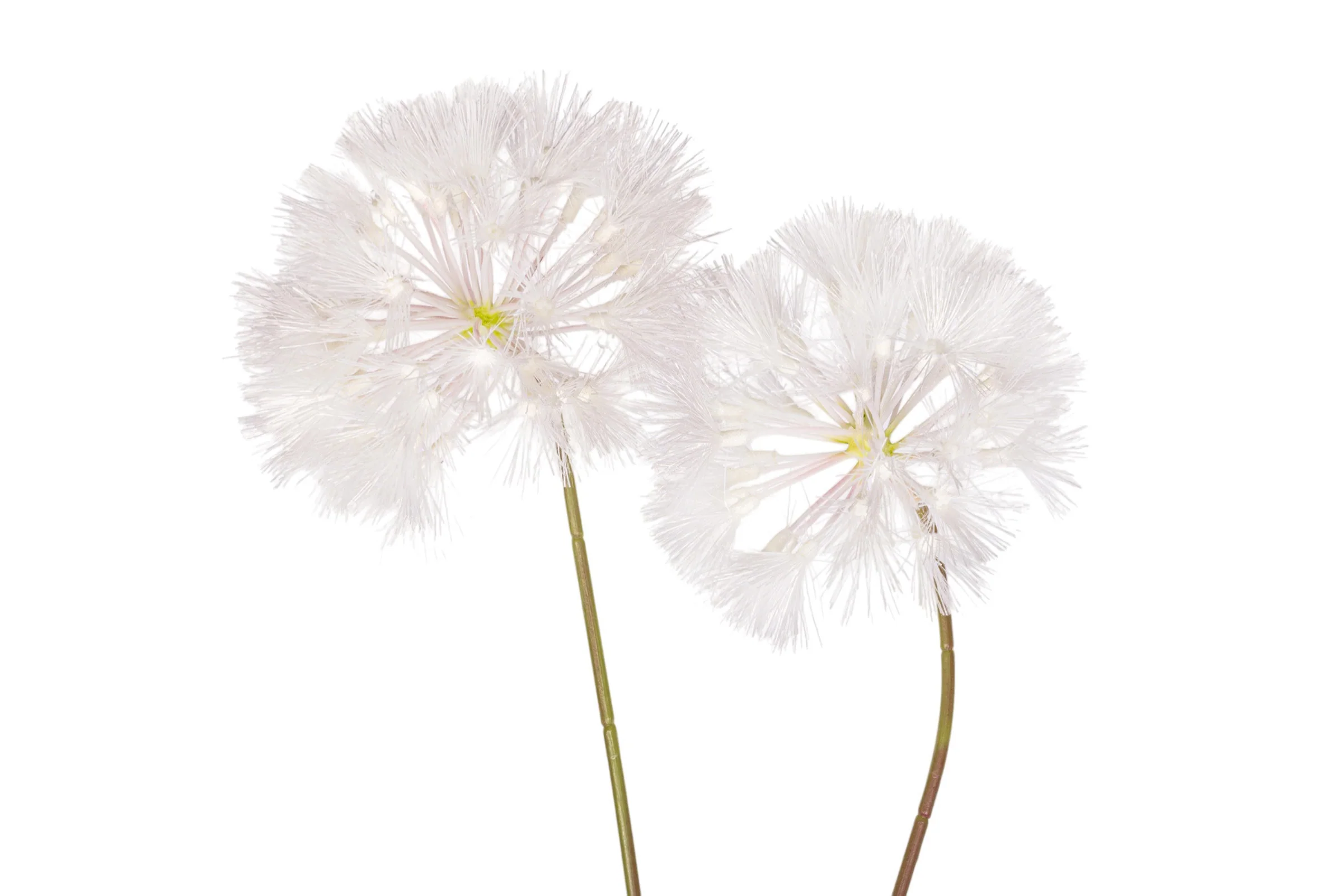 45" Dandelion Stem   FL1068