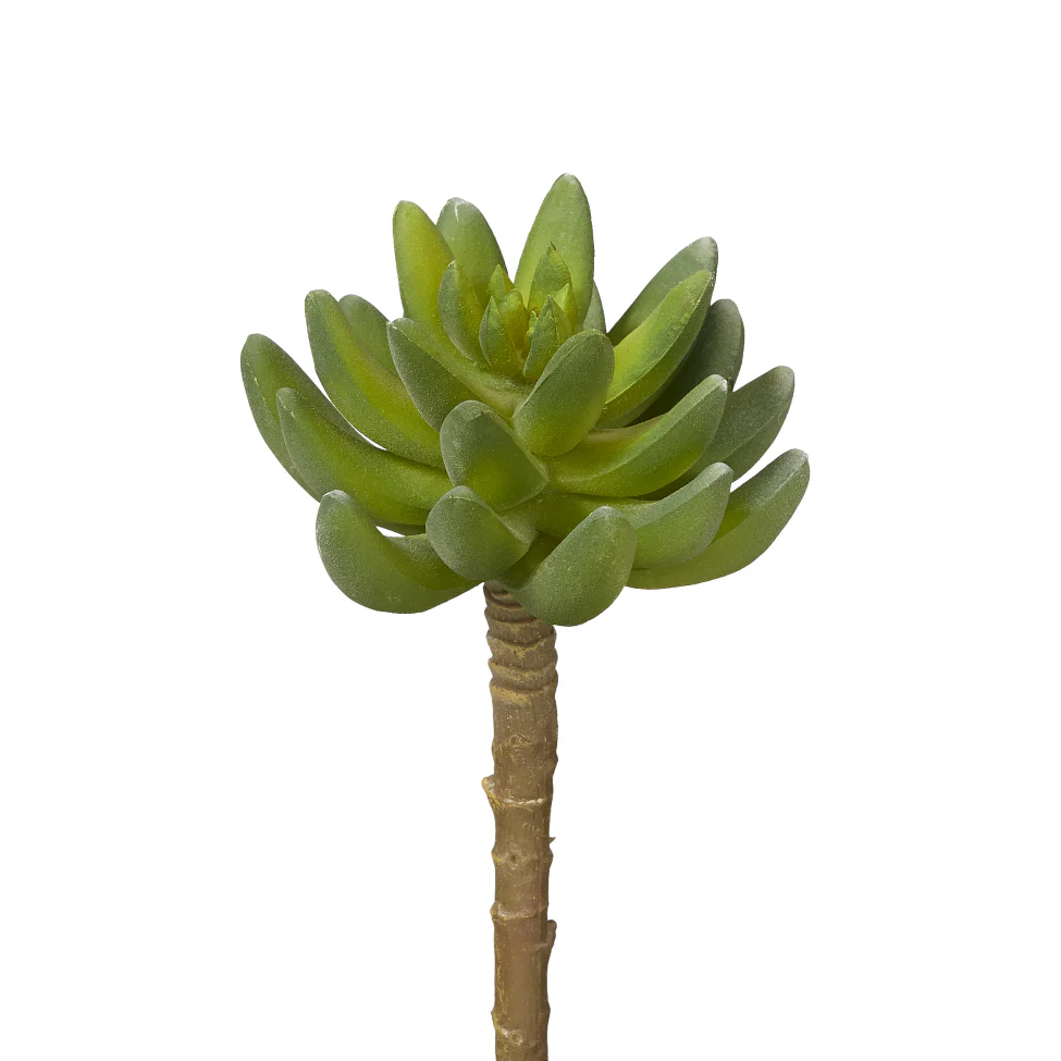 6" Single Stem Succulent - UV Treated SF1003UV