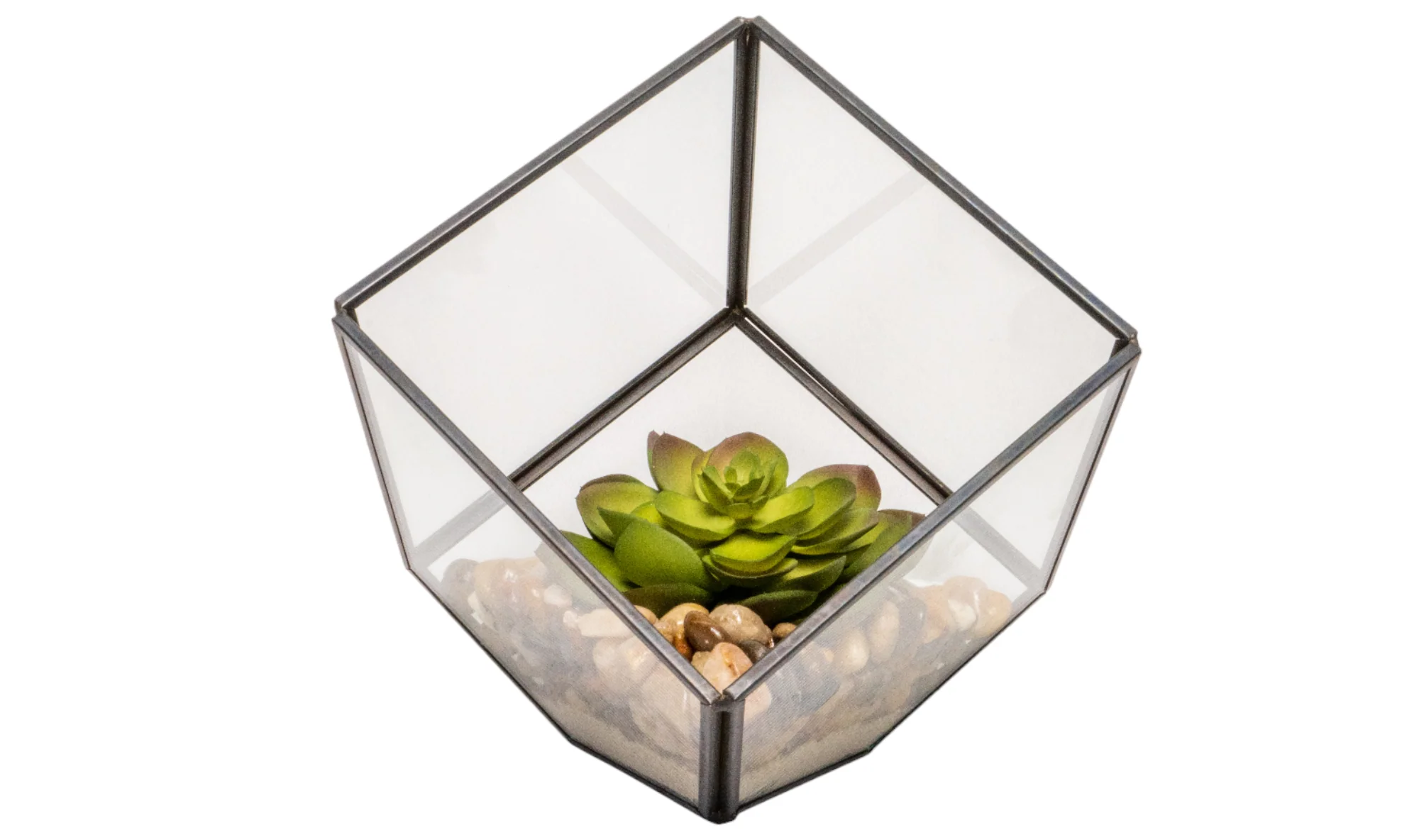 Small Black Berkley Terrarium Succulent Arrangement AR1266