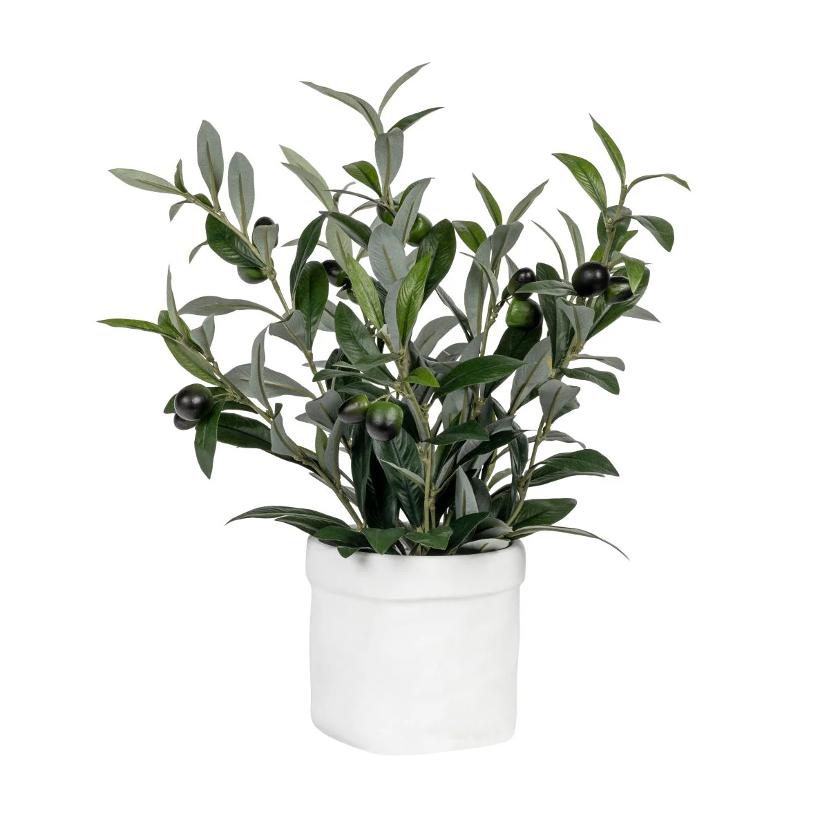 5" Herb Pot with Potted Olive AR1850