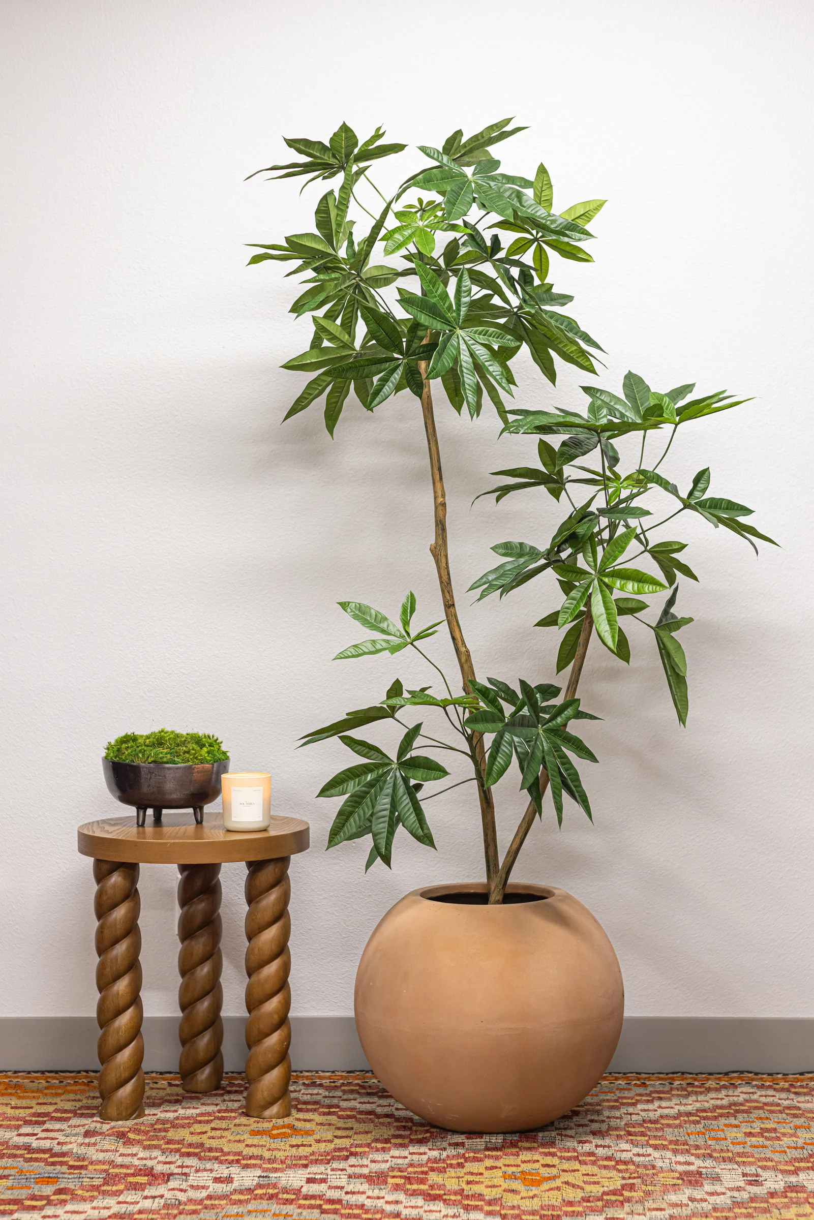 6' Money Tree   FP1413 - Image 3