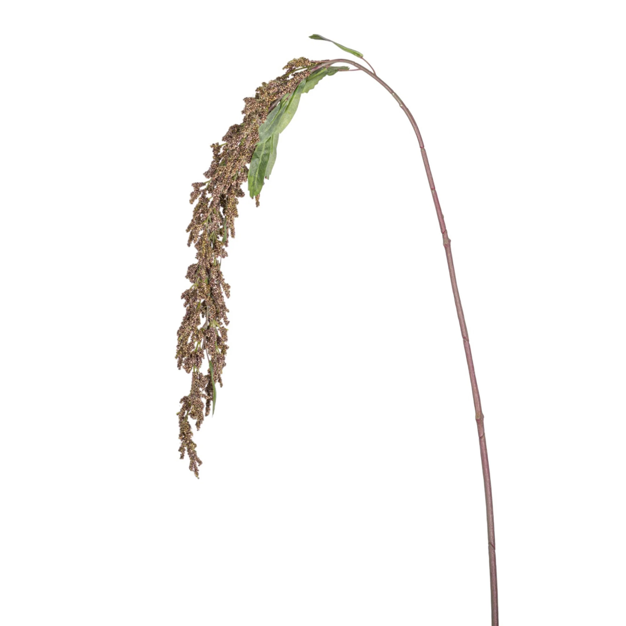 56" Amaranthus Stem - Brown ST1201