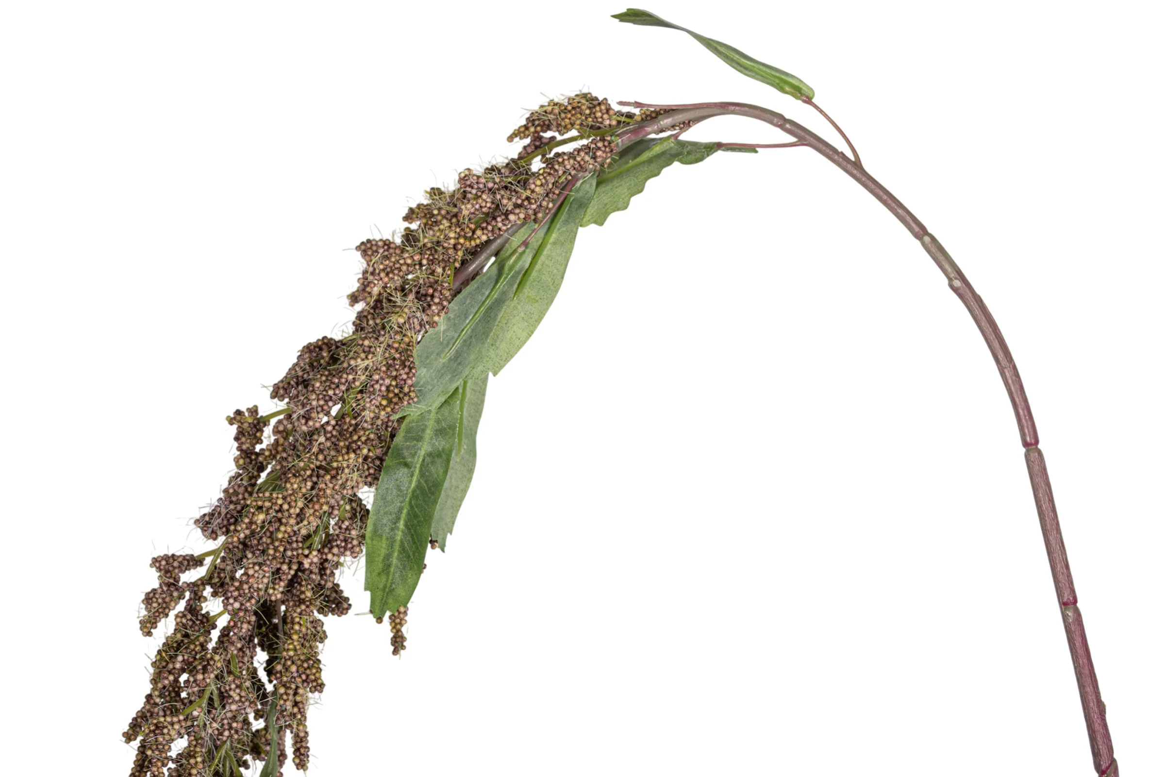 56" Amaranthus Stem - Brown ST1201 - Image 2