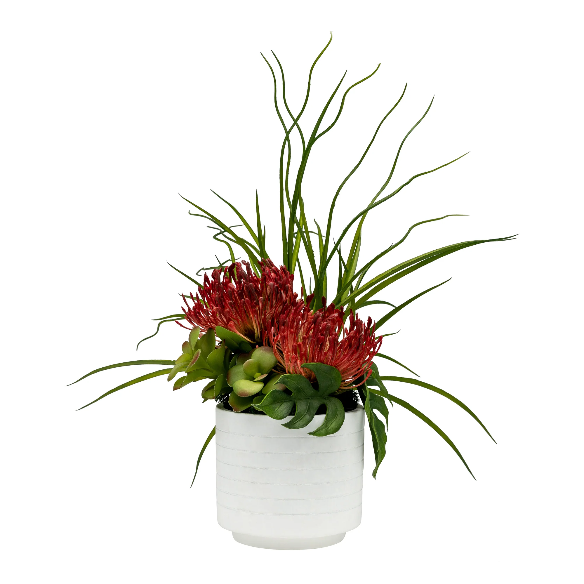 6" Flat White Pot with Red Protea Arrangement AR1427