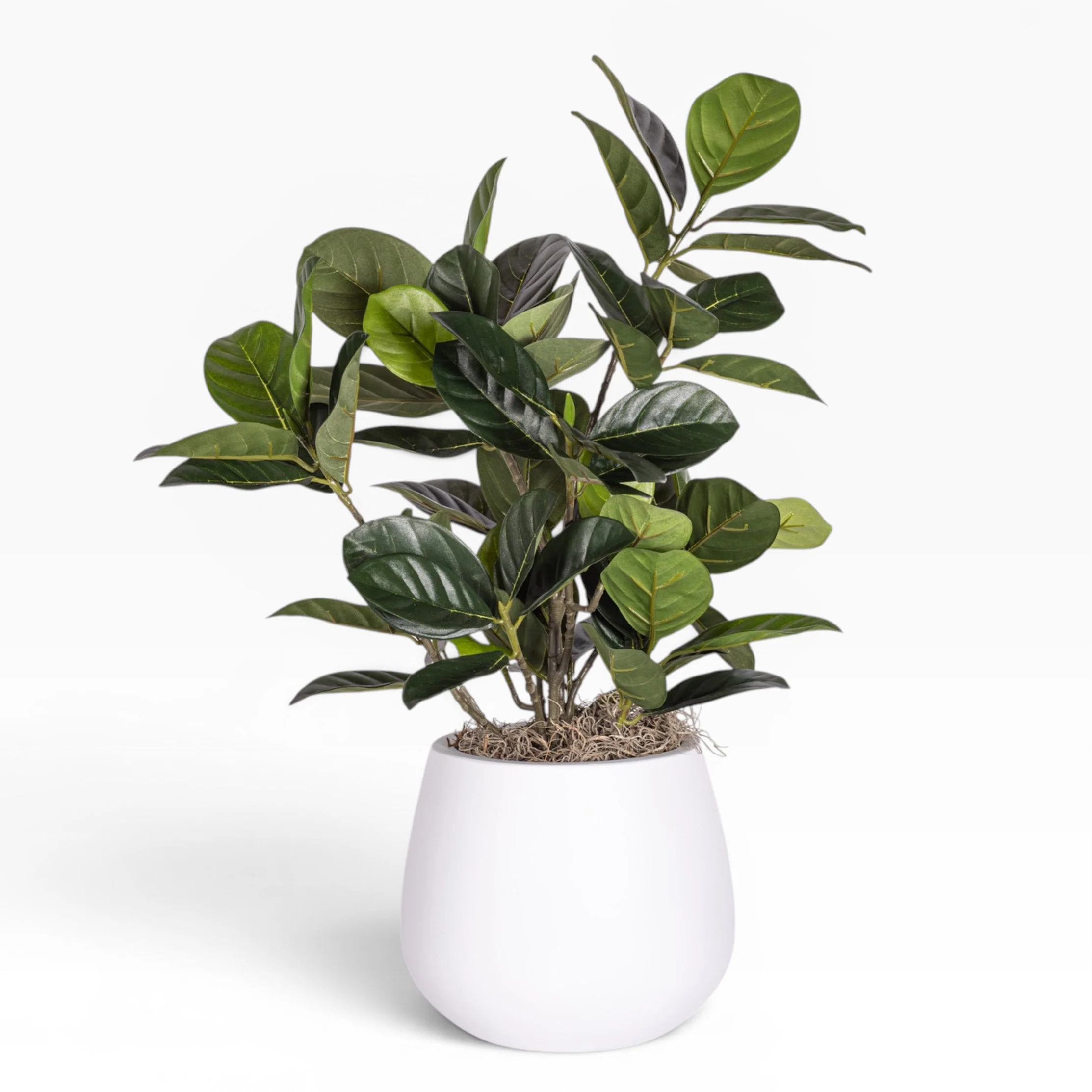 7" Gail Pot with Artocarpus Arrangement AR1881 - Image 2