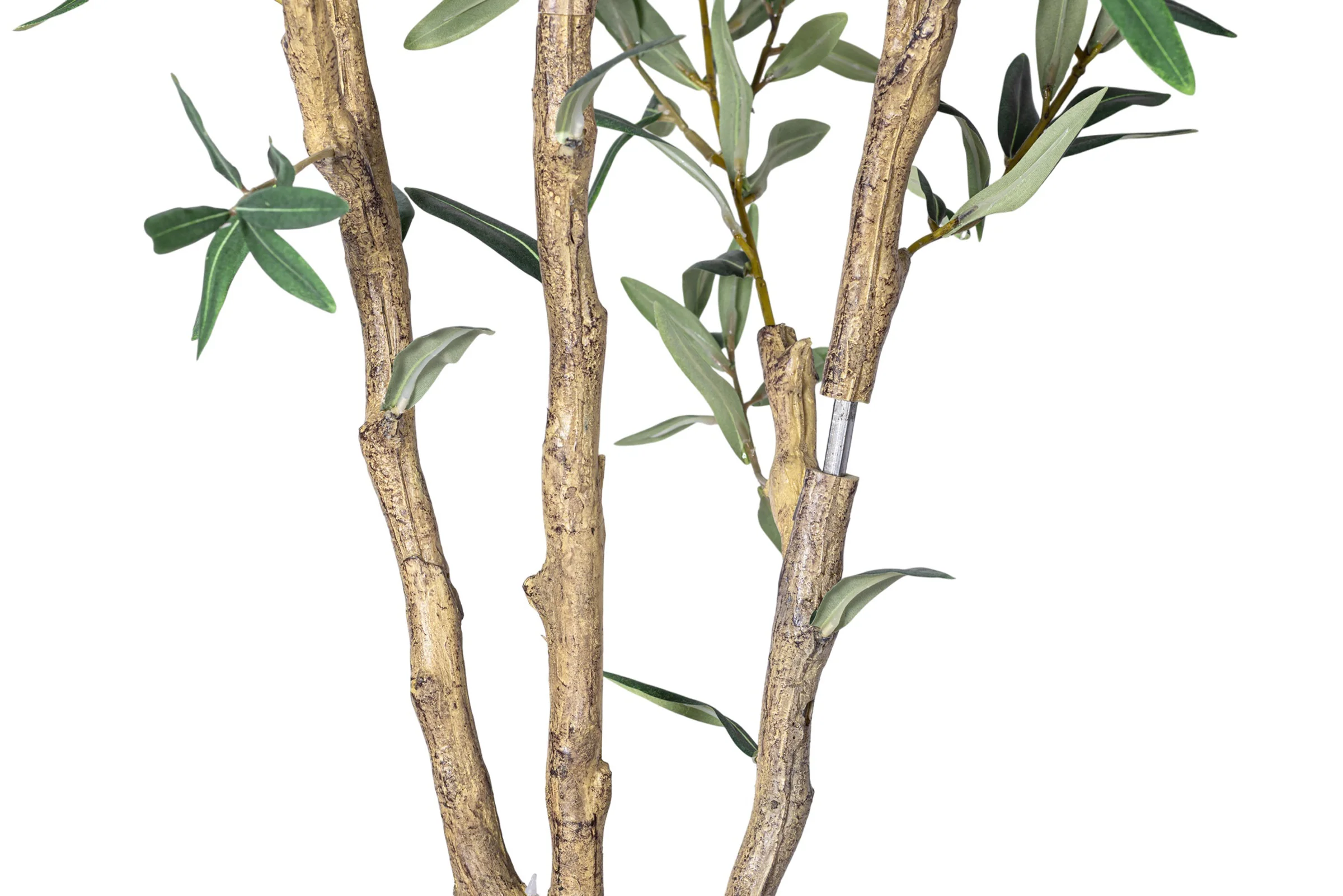 7' Olive Tree in Round Tapered Pot with Green Moss   FP1442 - Image 6