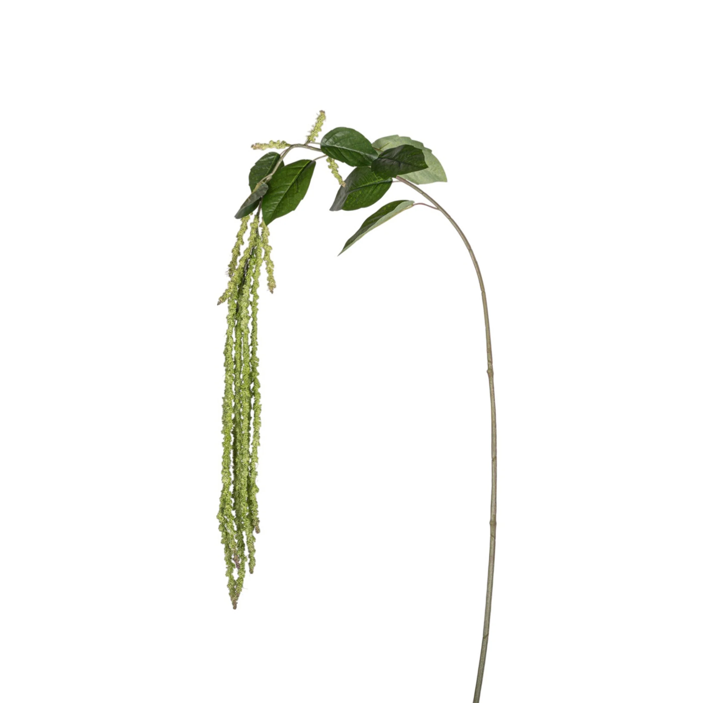 44" Amaranthus Spray Stem - Green  ST1202