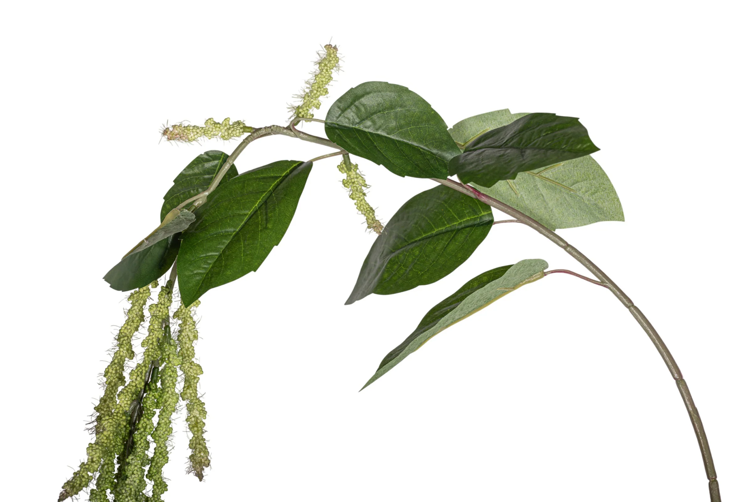 44" Amaranthus Spray Stem - Green  ST1202 - Image 2