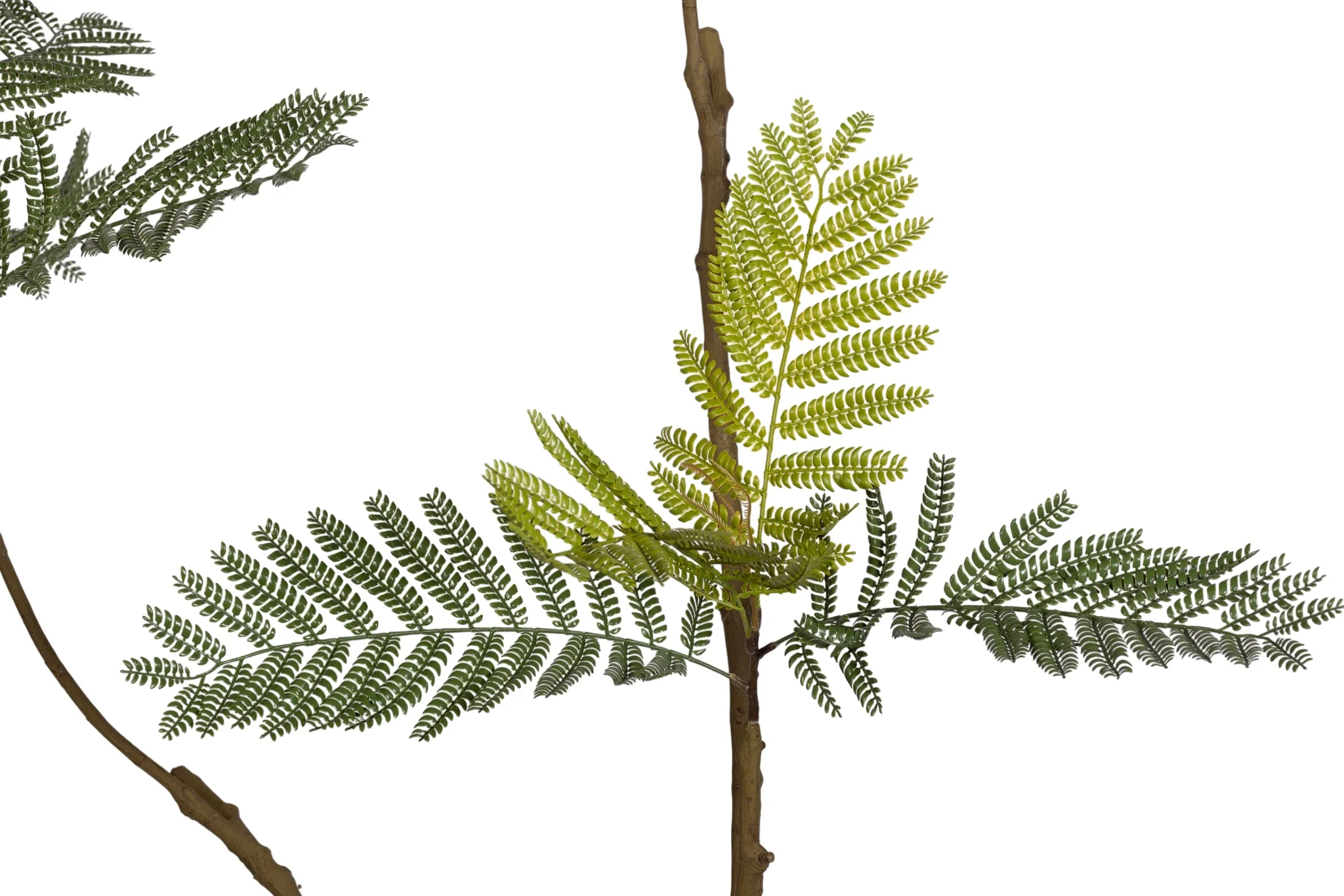 7.5' Jacaranda FP1439 - Image 3