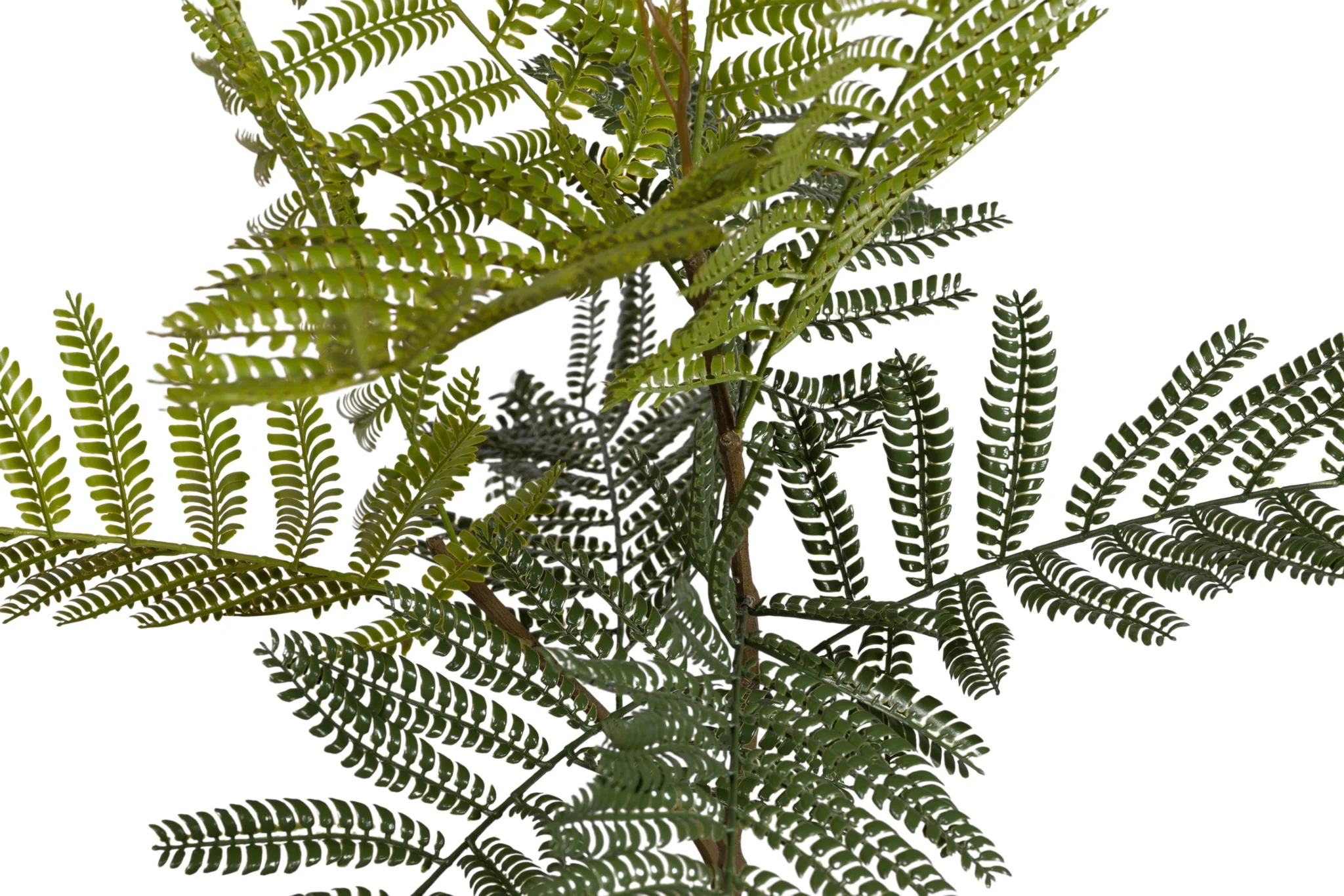 7.5' Jacaranda FP1439 - Image 4