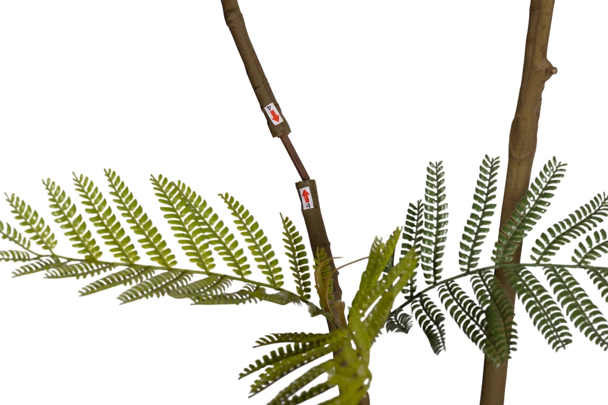 7.5' Jacaranda FP1439 - Image 6