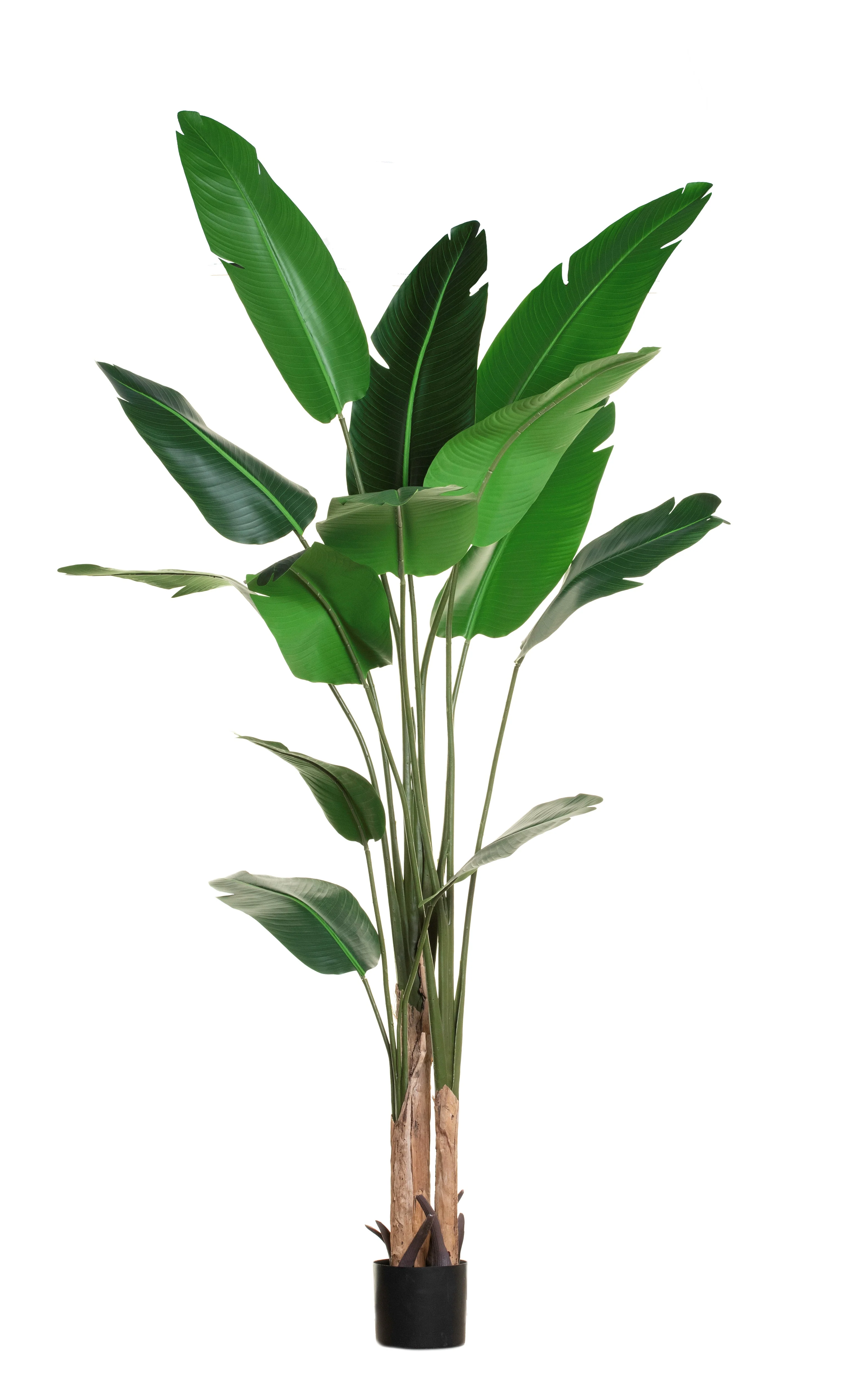 7' Bird of Paradise    FP1152
