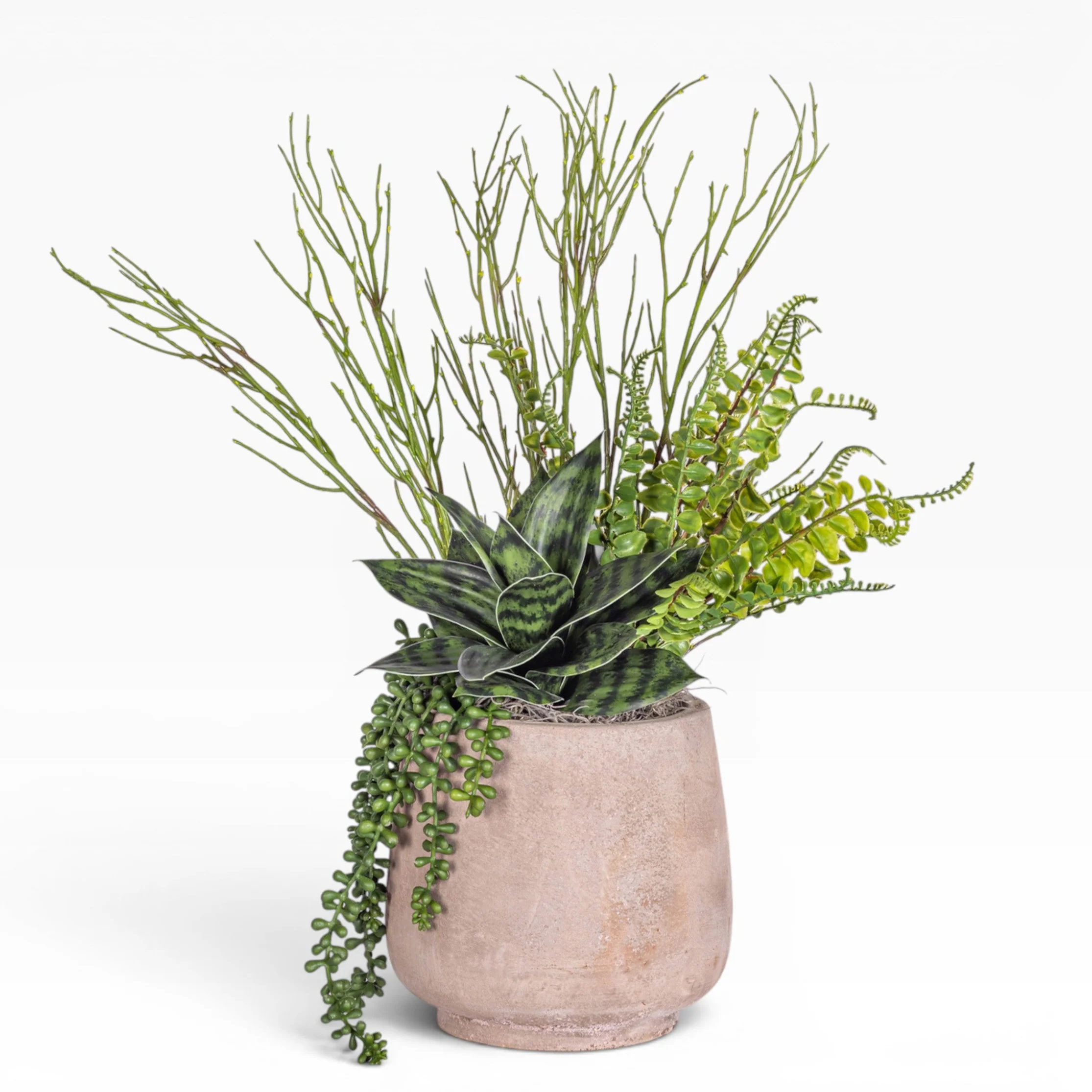 7" Dante Pot with Succulent Arrangement AR1795