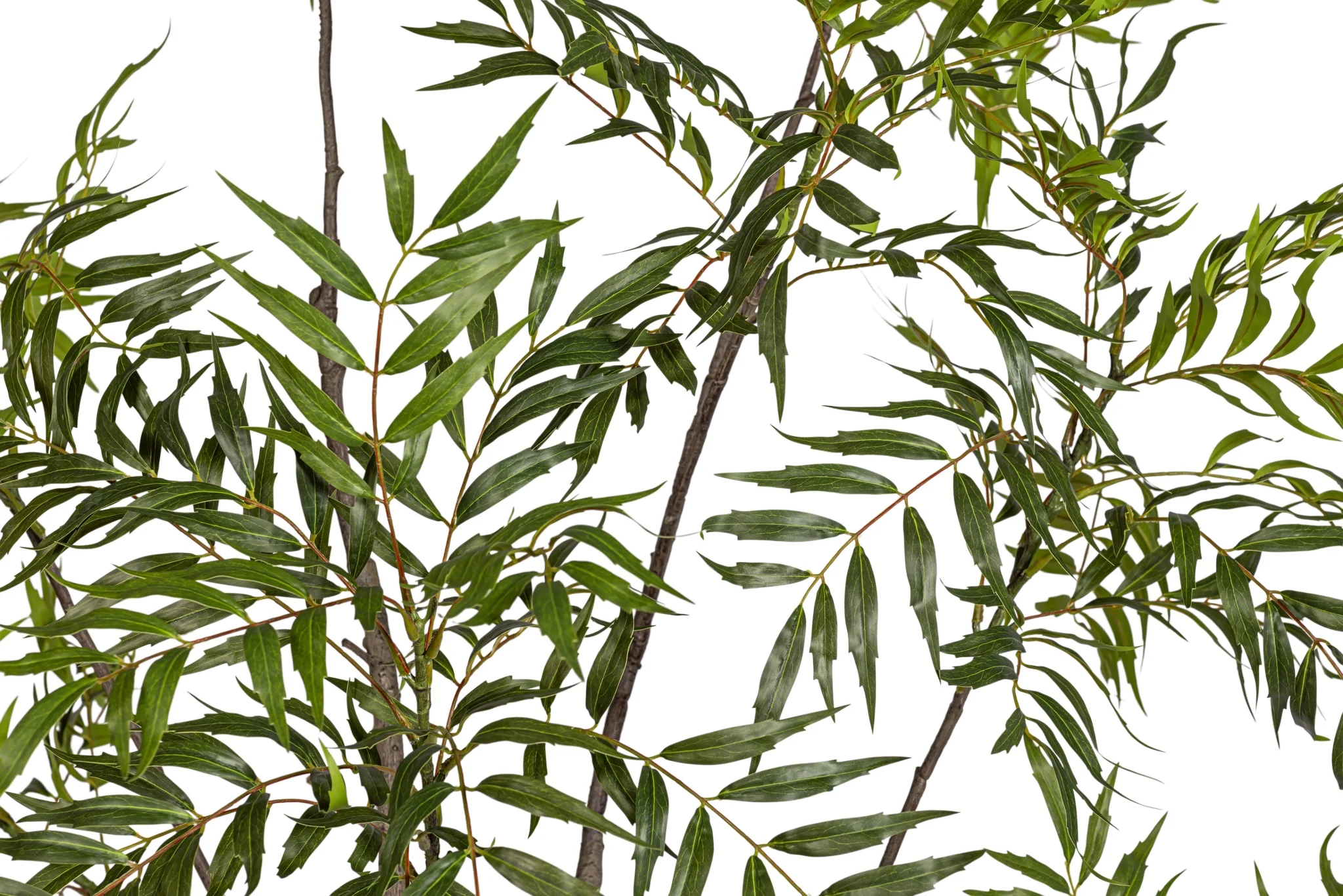 7' Golden Bamboo Tree   FP1421 - Image 4