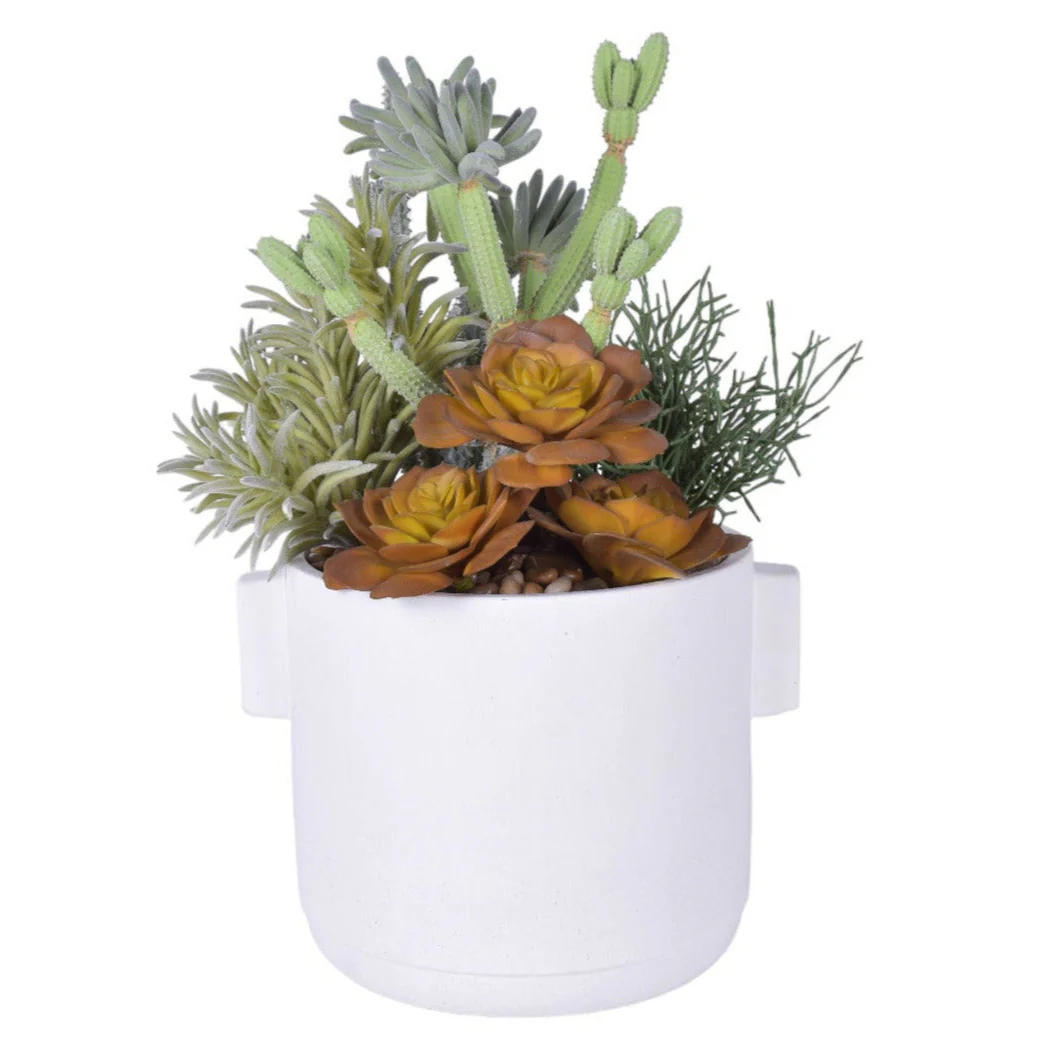 7" Watson Pot with Cactus Arrangement   AR1798