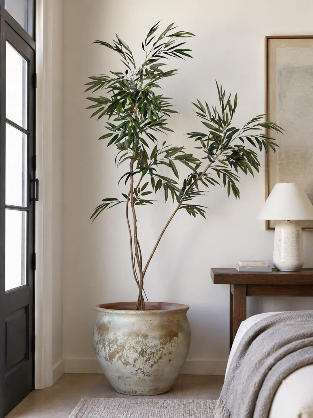 8.5' Ficus Alii Tree    FP1432 - Image 2