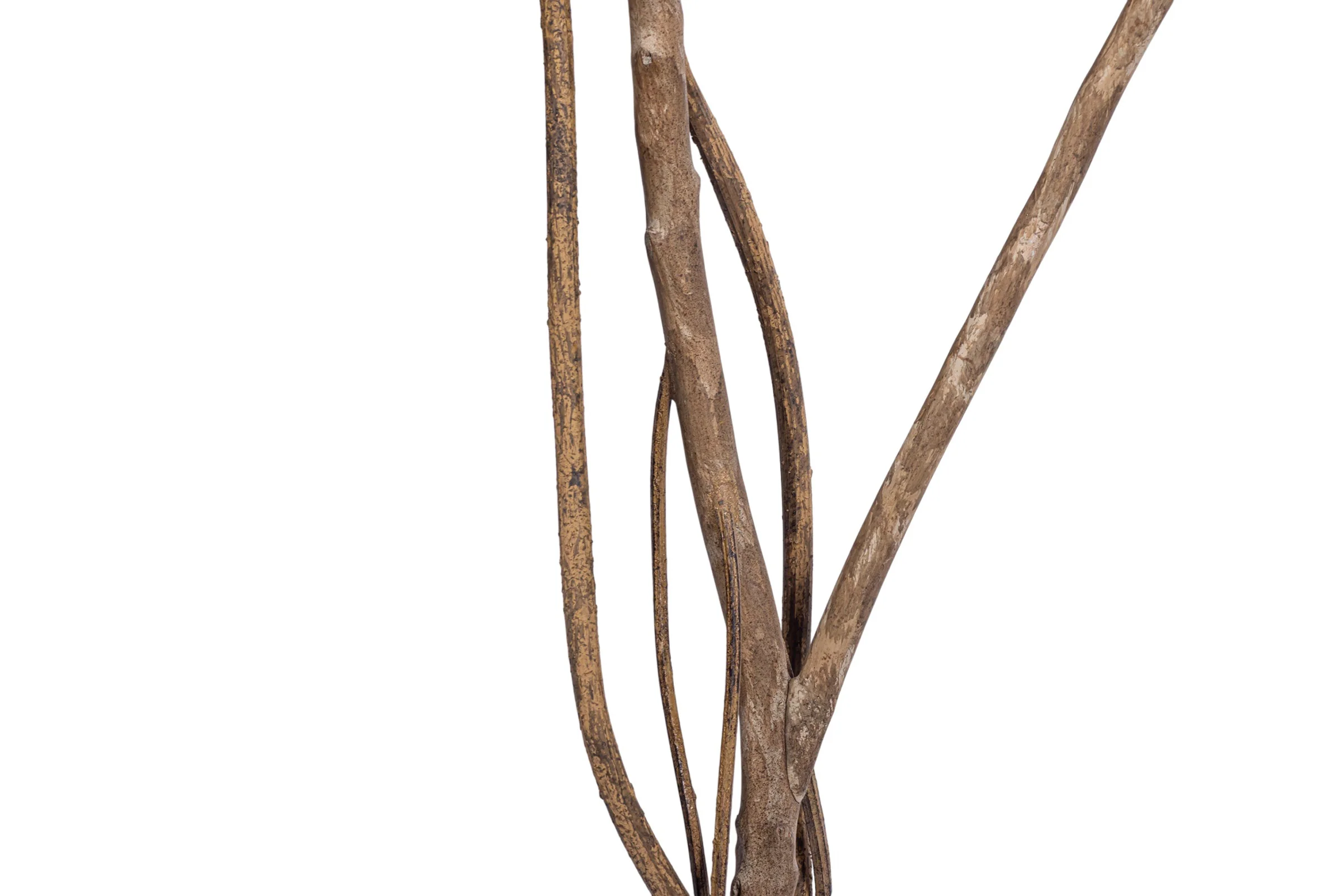 8.5' Ficus Alii Tree    FP1432 - Image 4