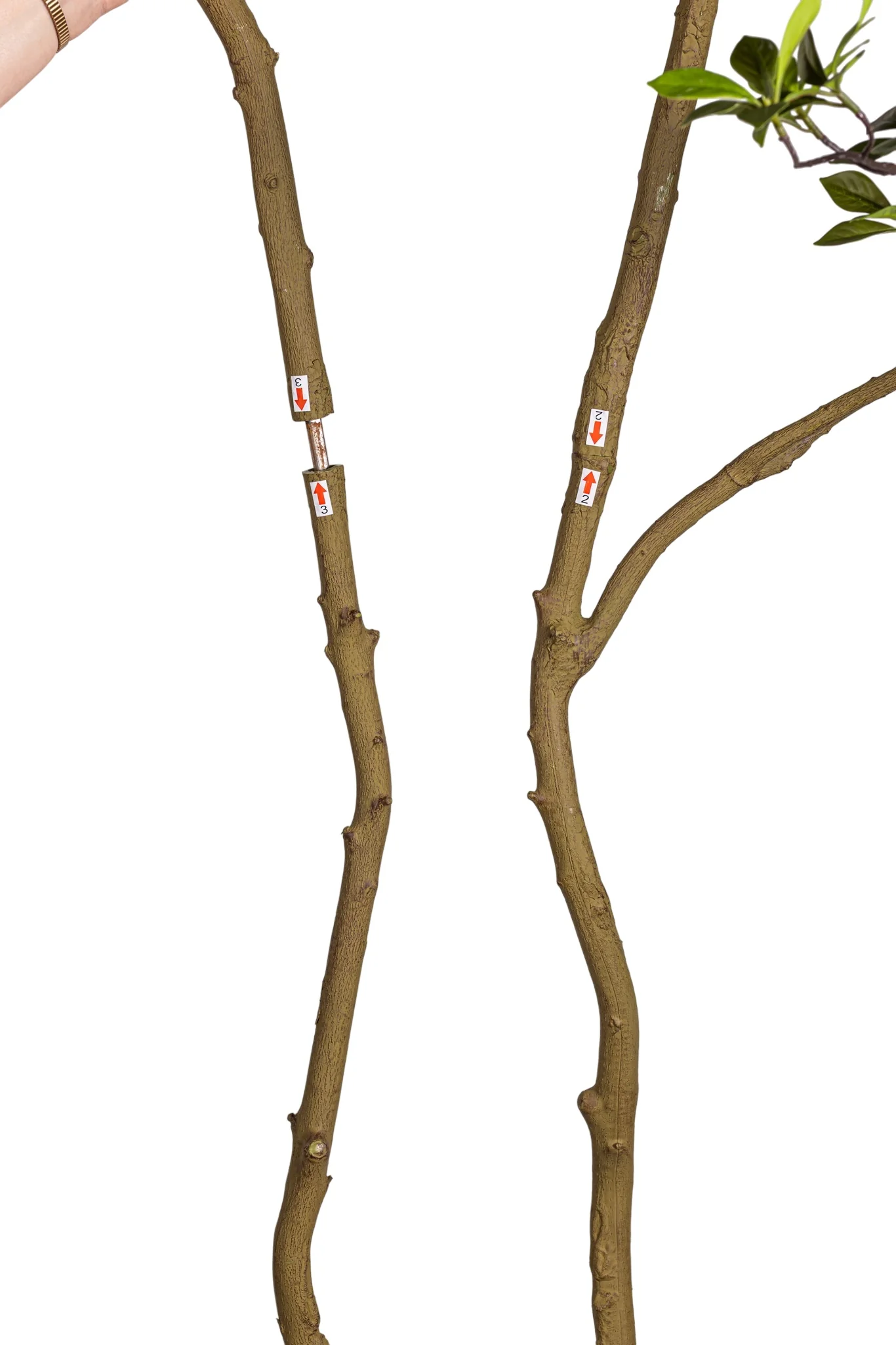 8.5' Gardenia Tree FP1475 - Image 4