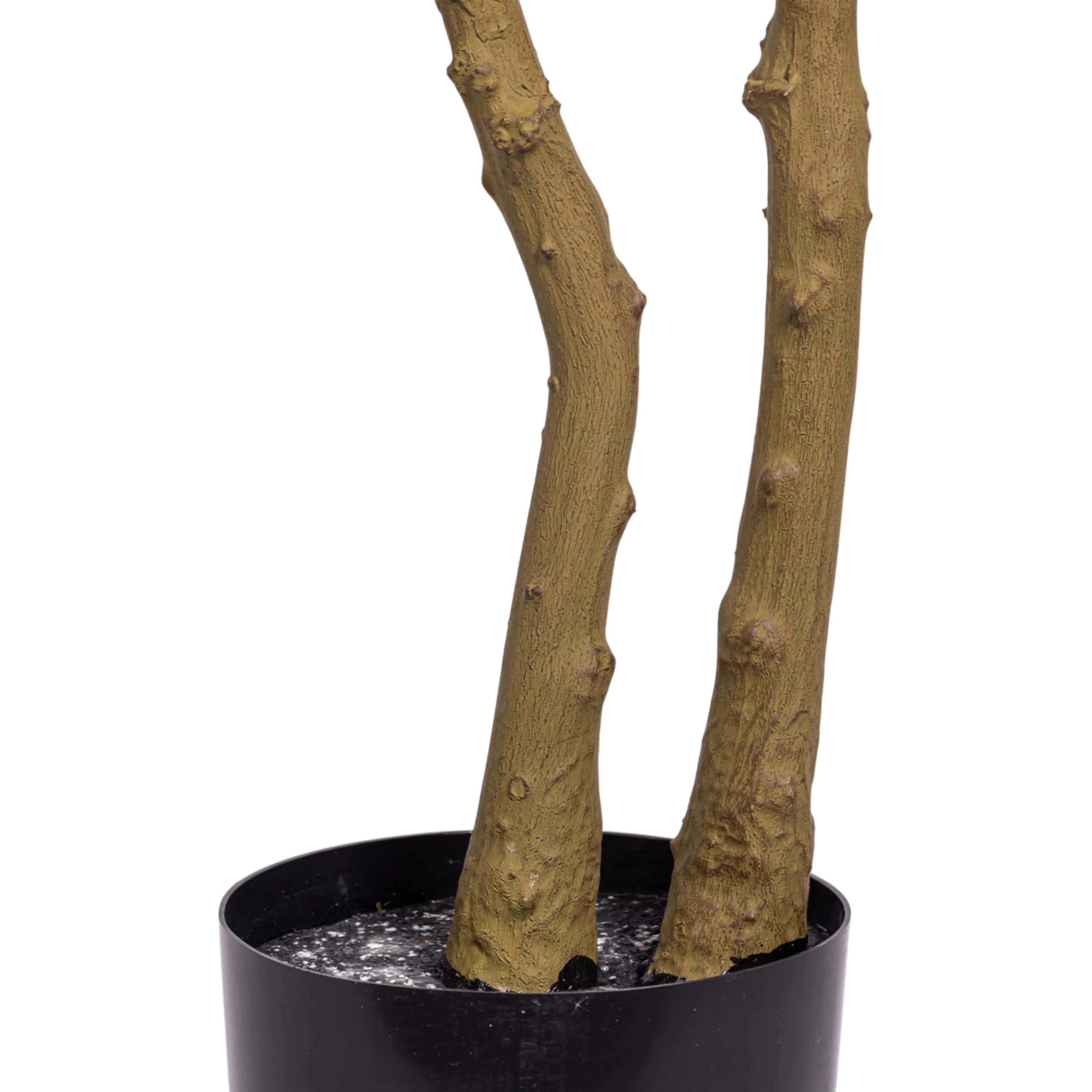 8.5' Gardenia Tree FP1475 - Image 5