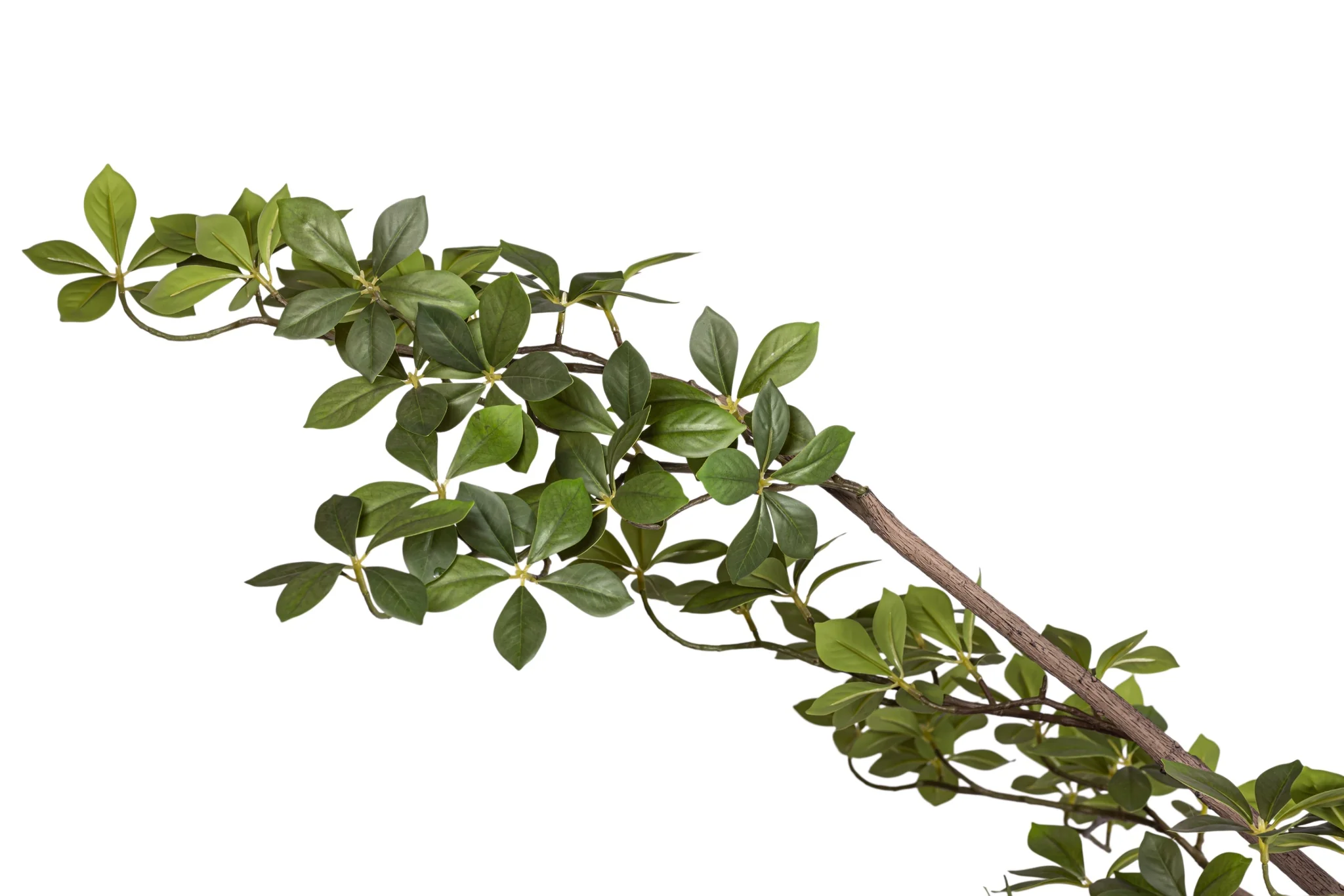 8.5' Gardenia Tree FP1475 - Image 6